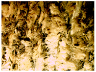 Materials 16 05316 i008