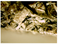 Materials 16 05316 i009