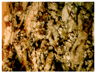 Materials 16 05316 i011