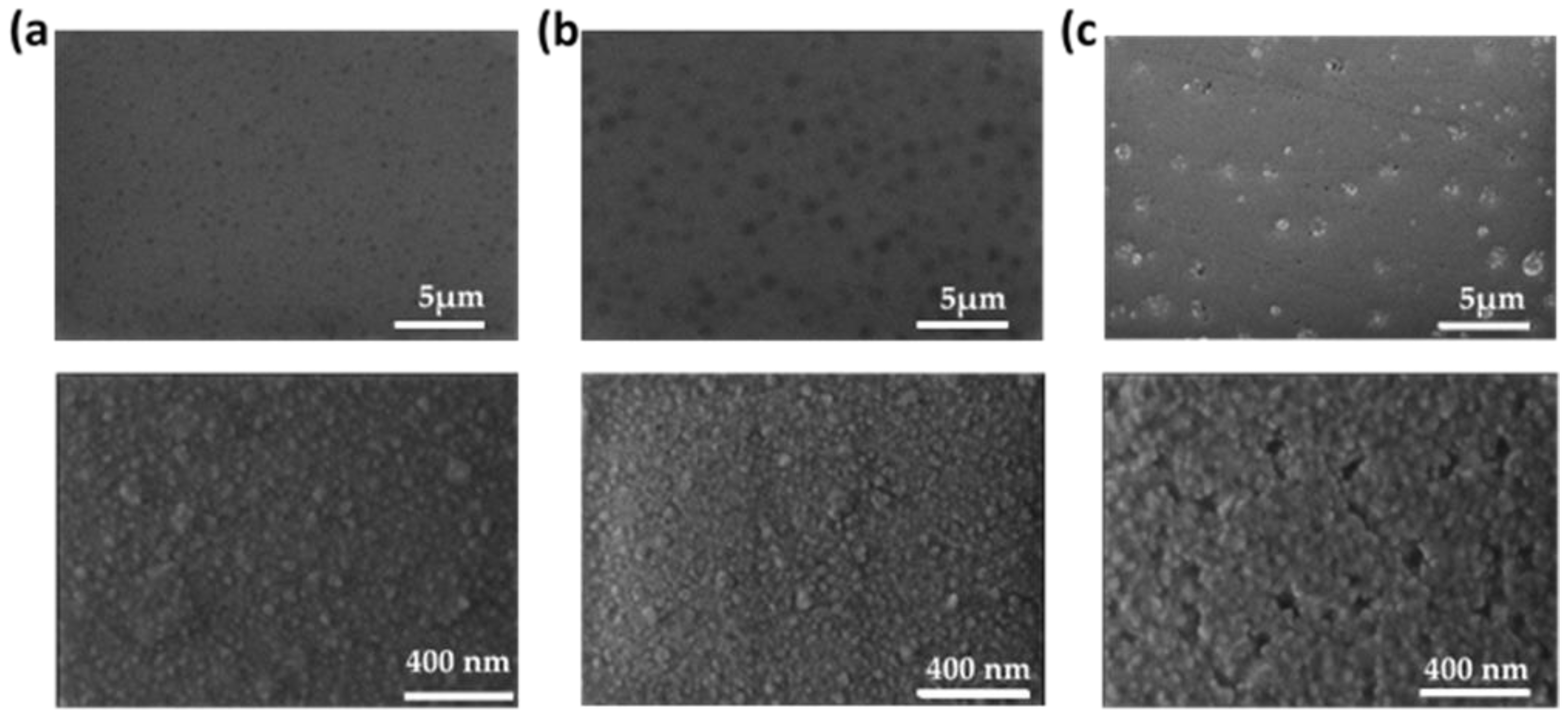 Materials 16 05331 g004