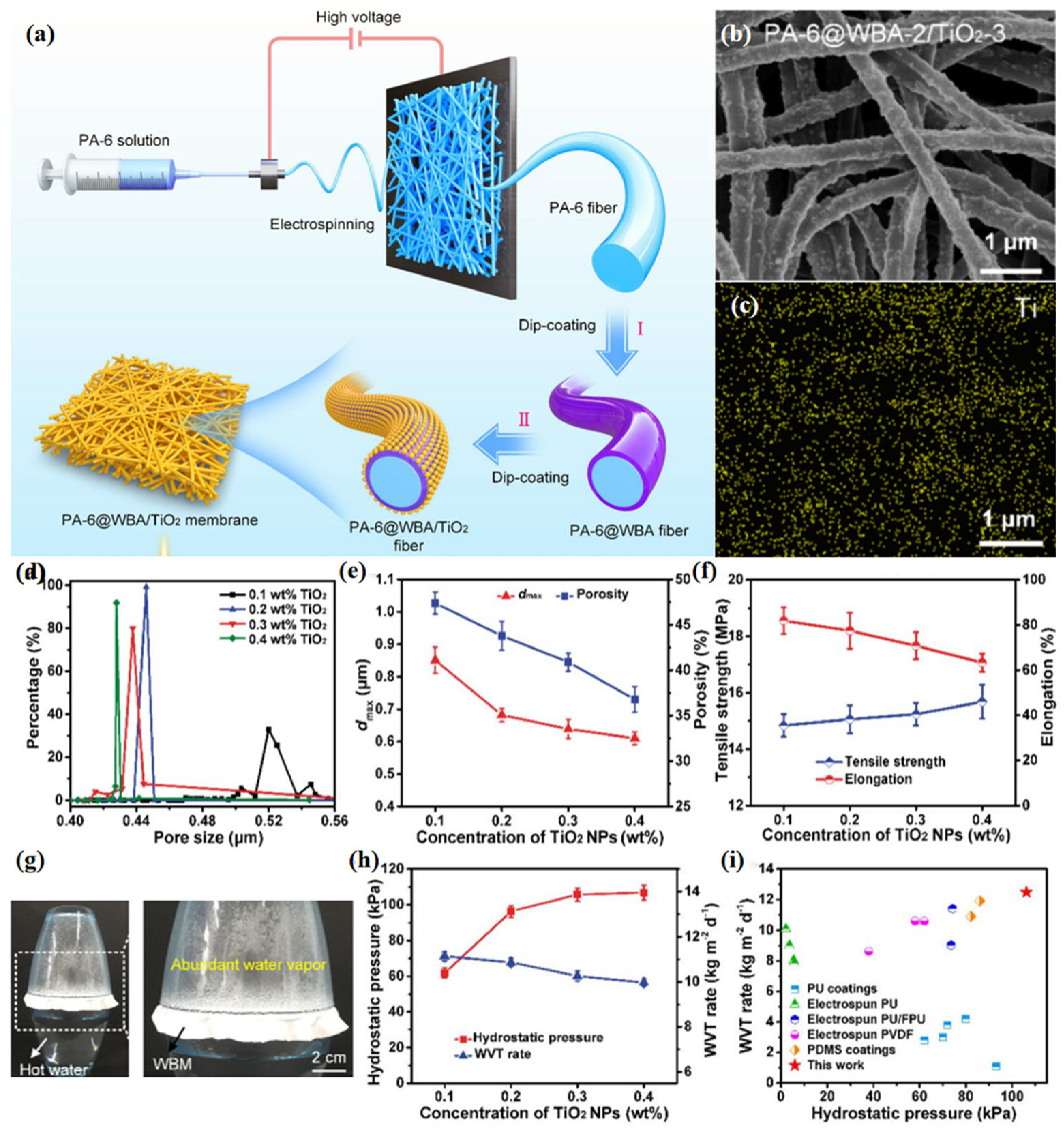 Materials 16 05339 g007 Materials 16 05339 g007
