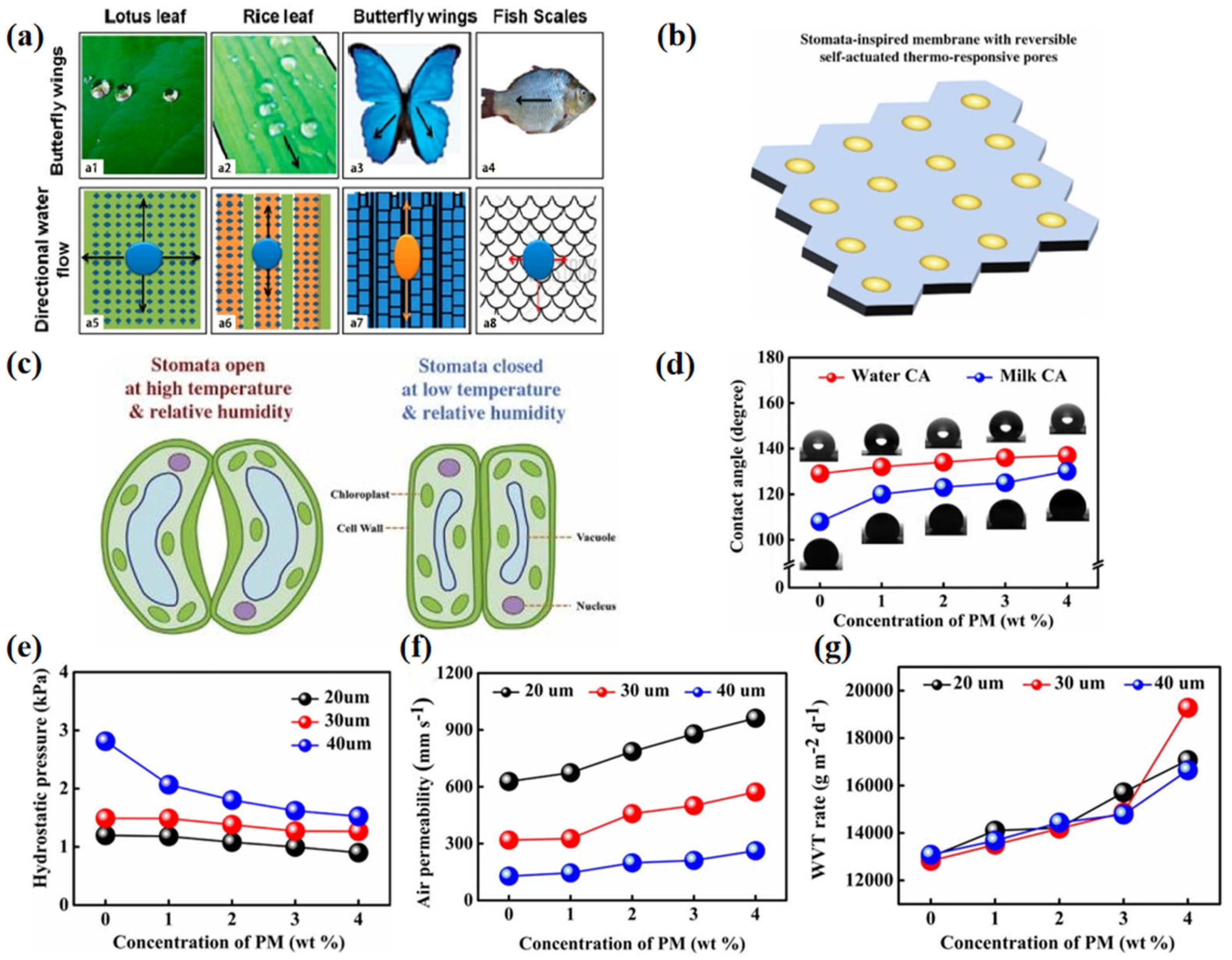 Materials 16 05339 g011 Materials 16 05339 g011