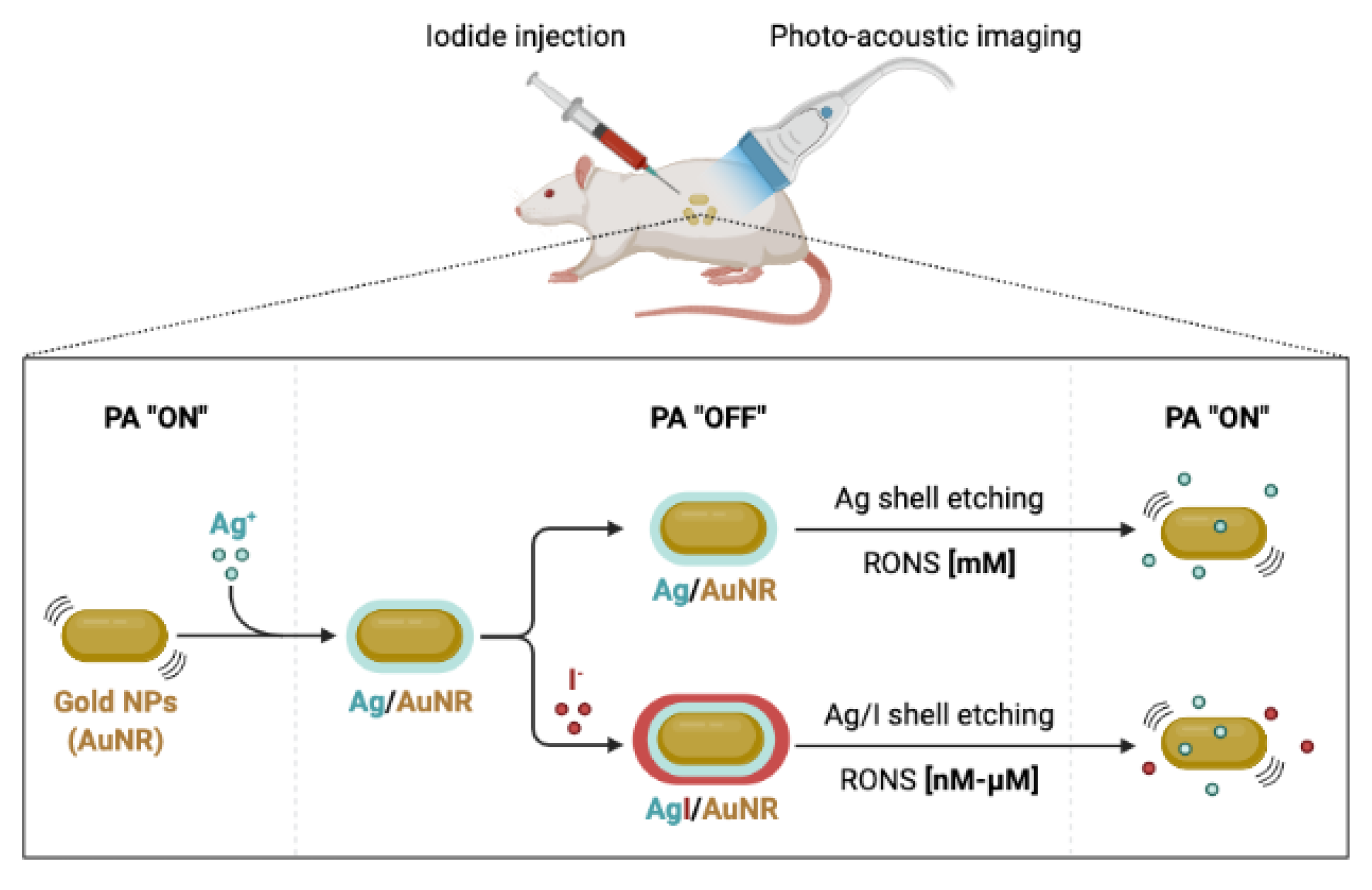 Materials 16 05354 g003 Materials 16 05354 g003