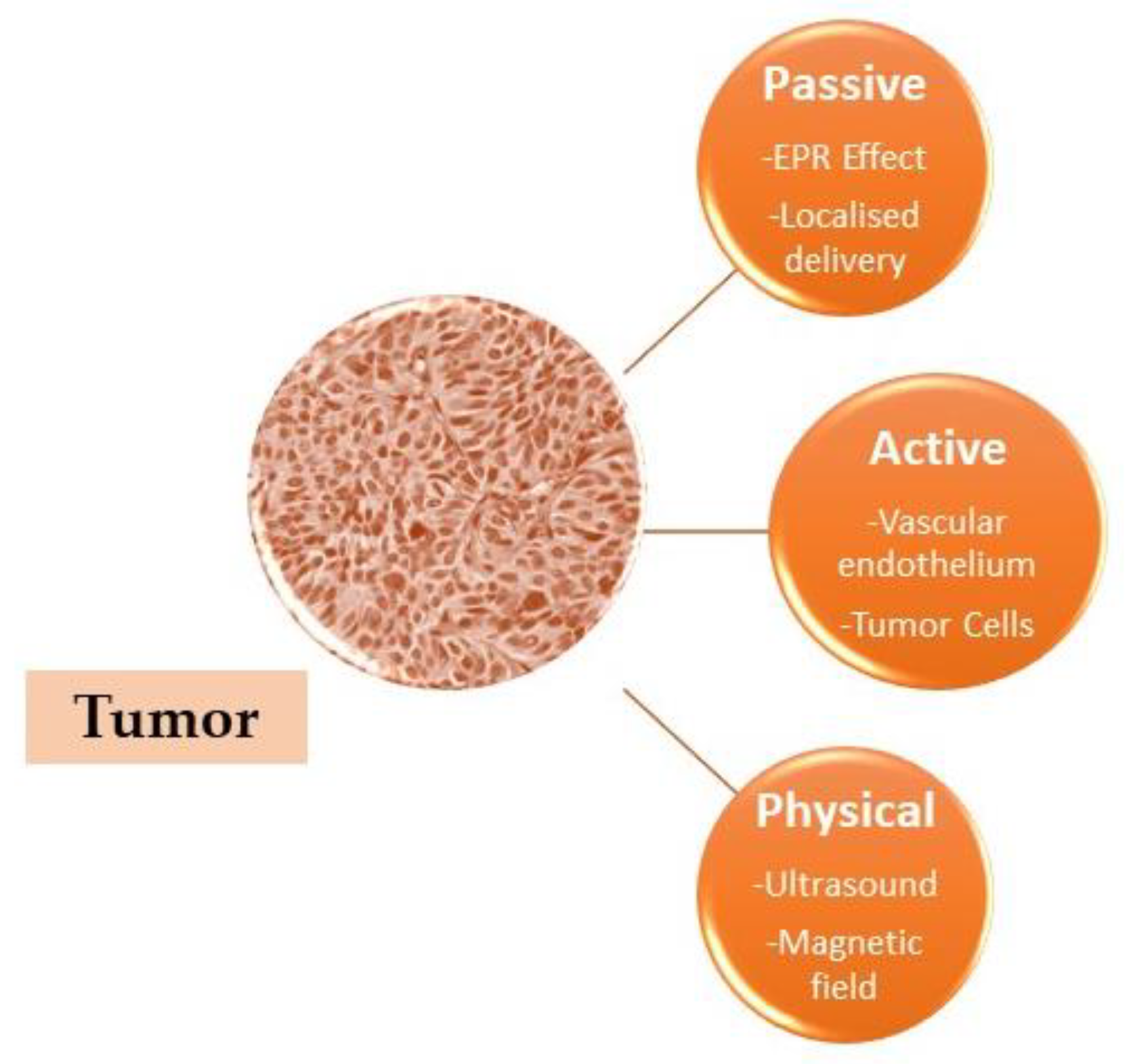 Materials 16 05354 g005 Materials 16 05354 g005