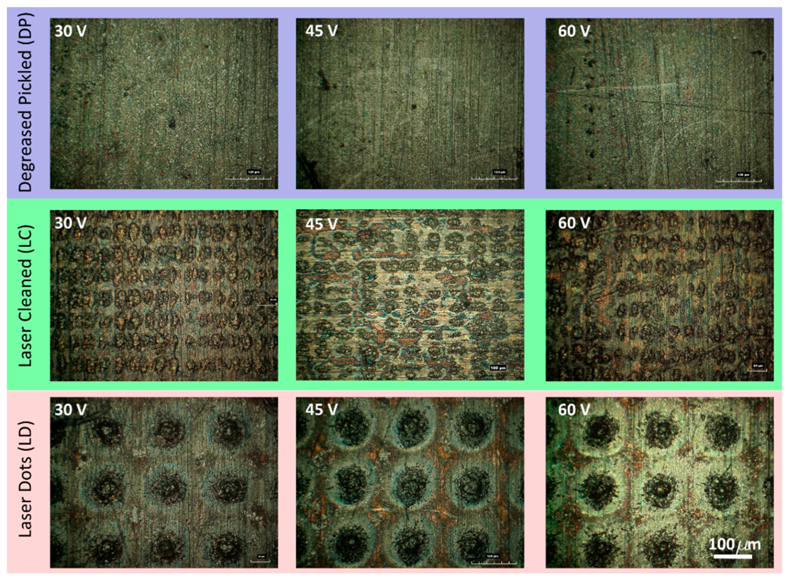 Materials 16 05359 g005