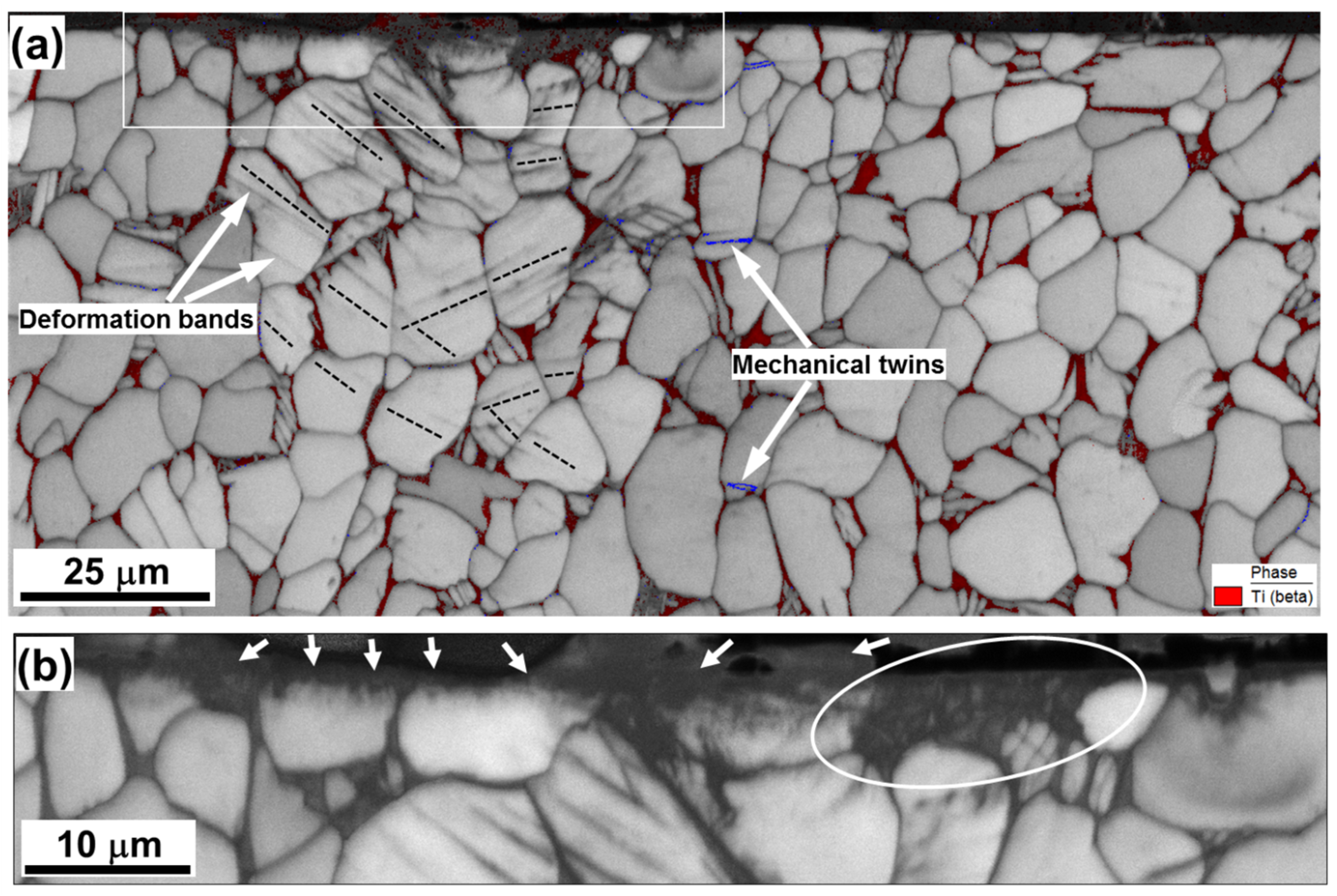 Materials 16 05365 g003 Materials 16 05365 g003