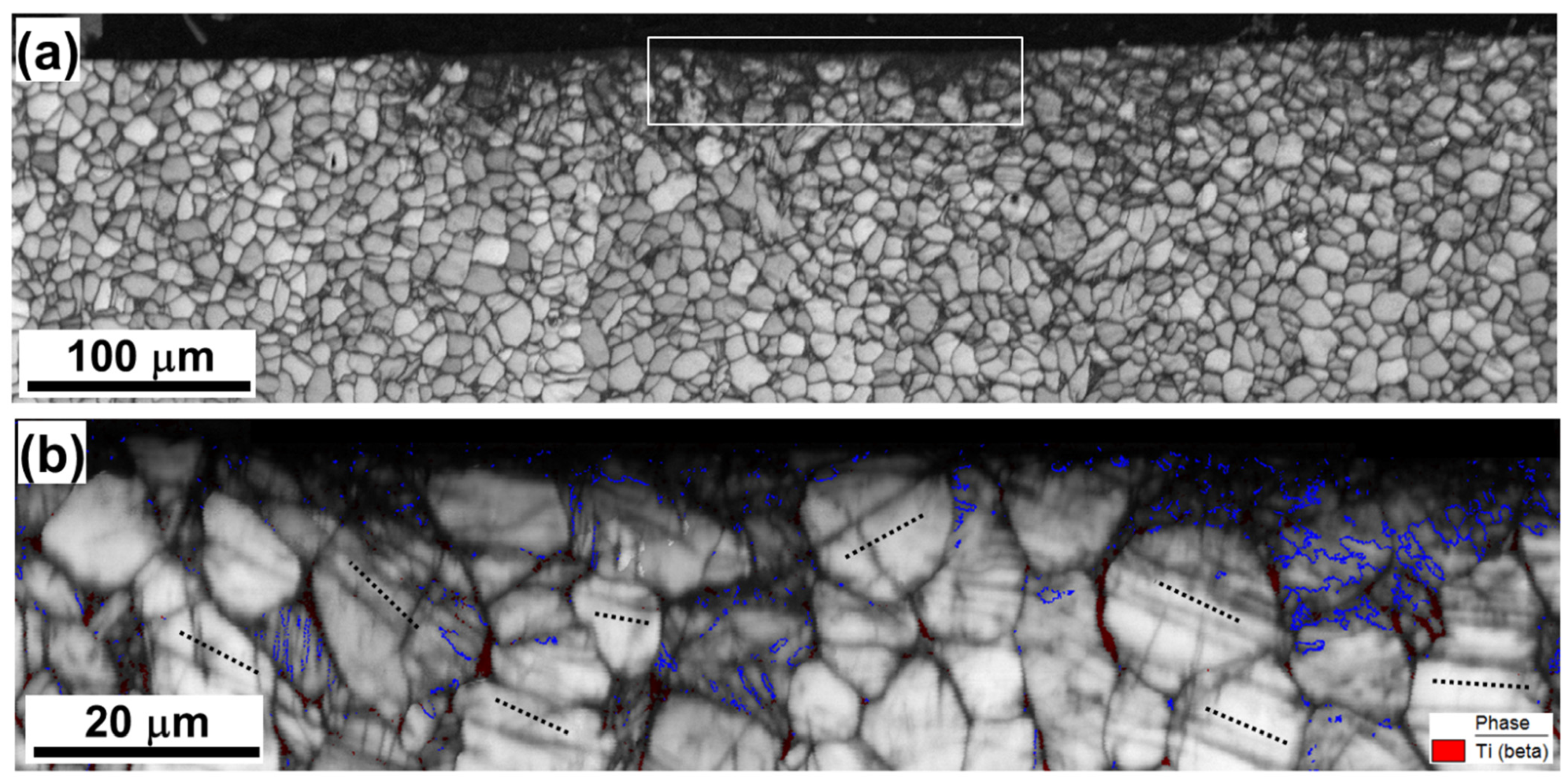 Materials 16 05365 g005 Materials 16 05365 g005