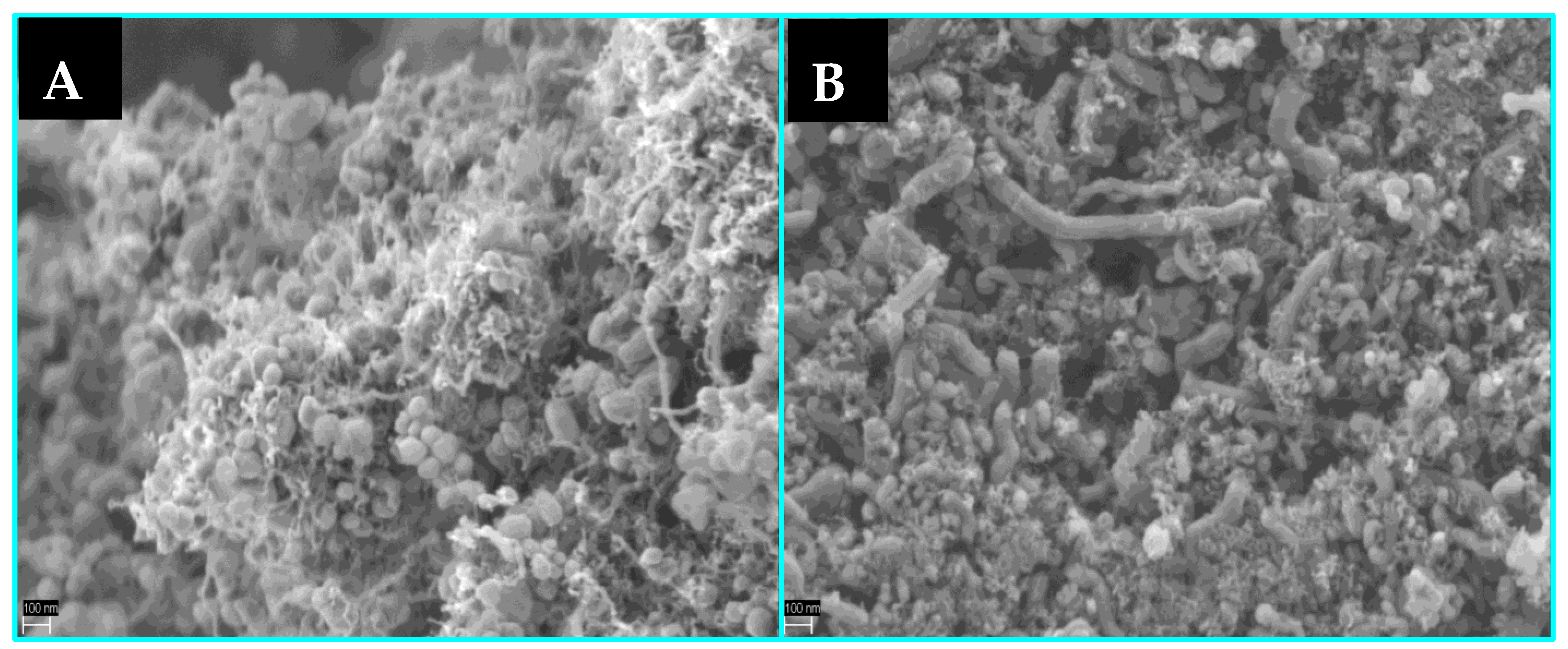 Materials 16 05377 g010 Materials 16 05377 g010