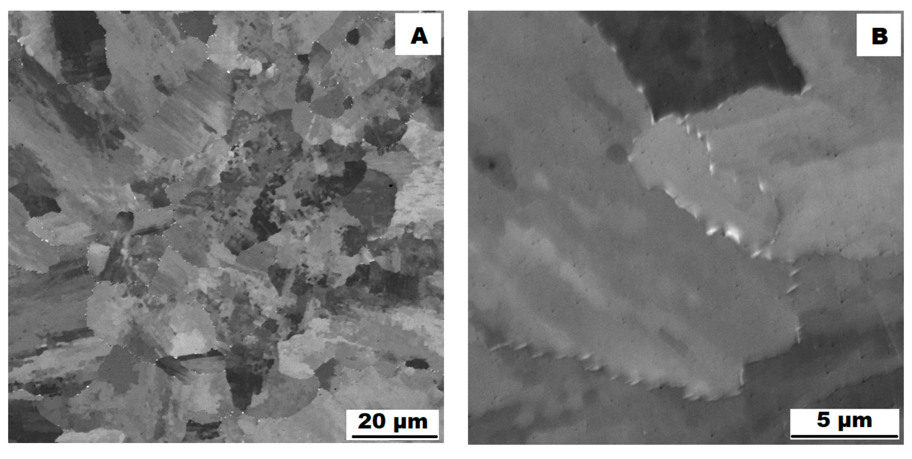 Materials 16 05382 g012 Materials 16 05382 g012