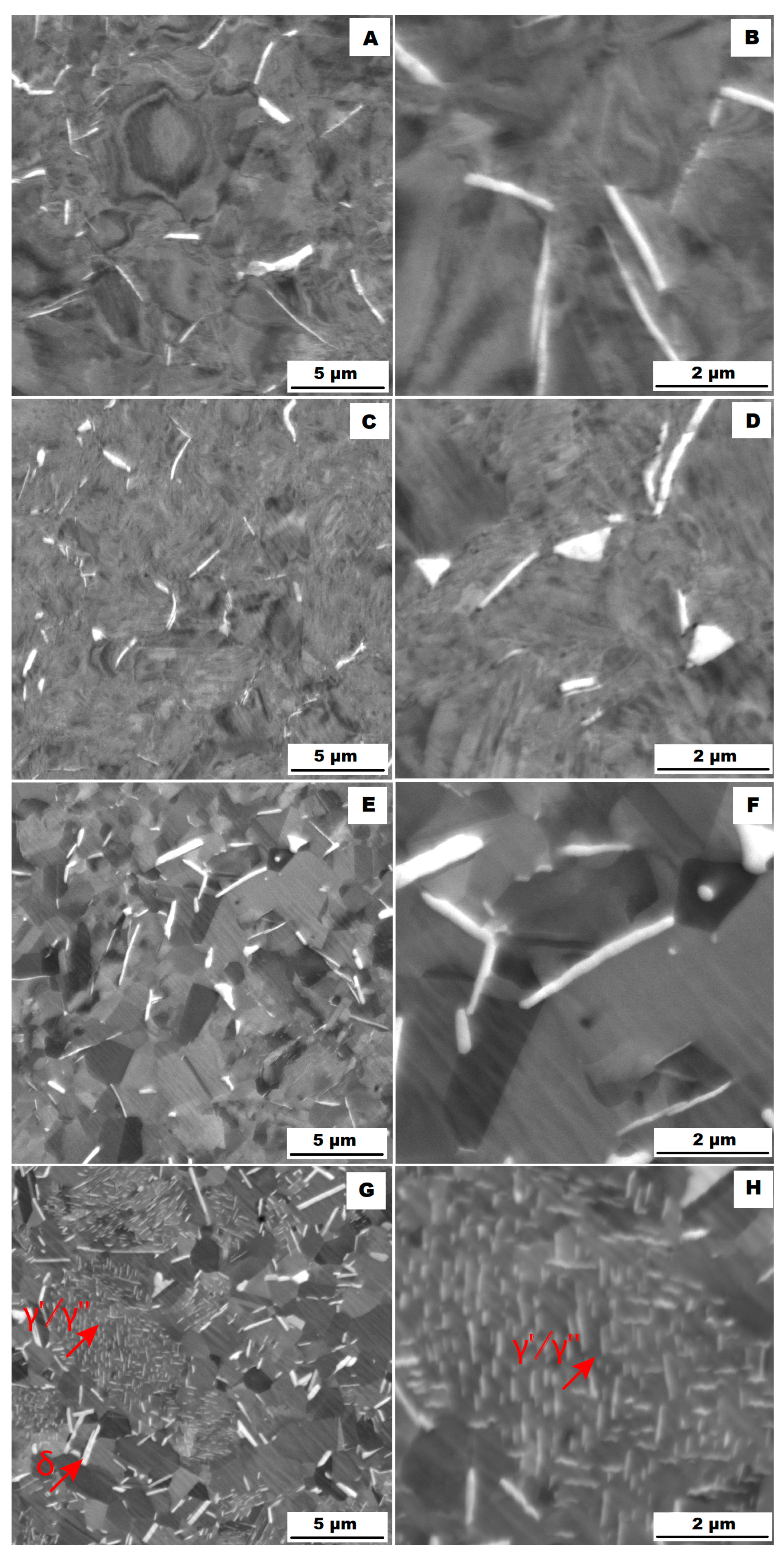 Materials 16 05382 g018 Materials 16 05382 g018