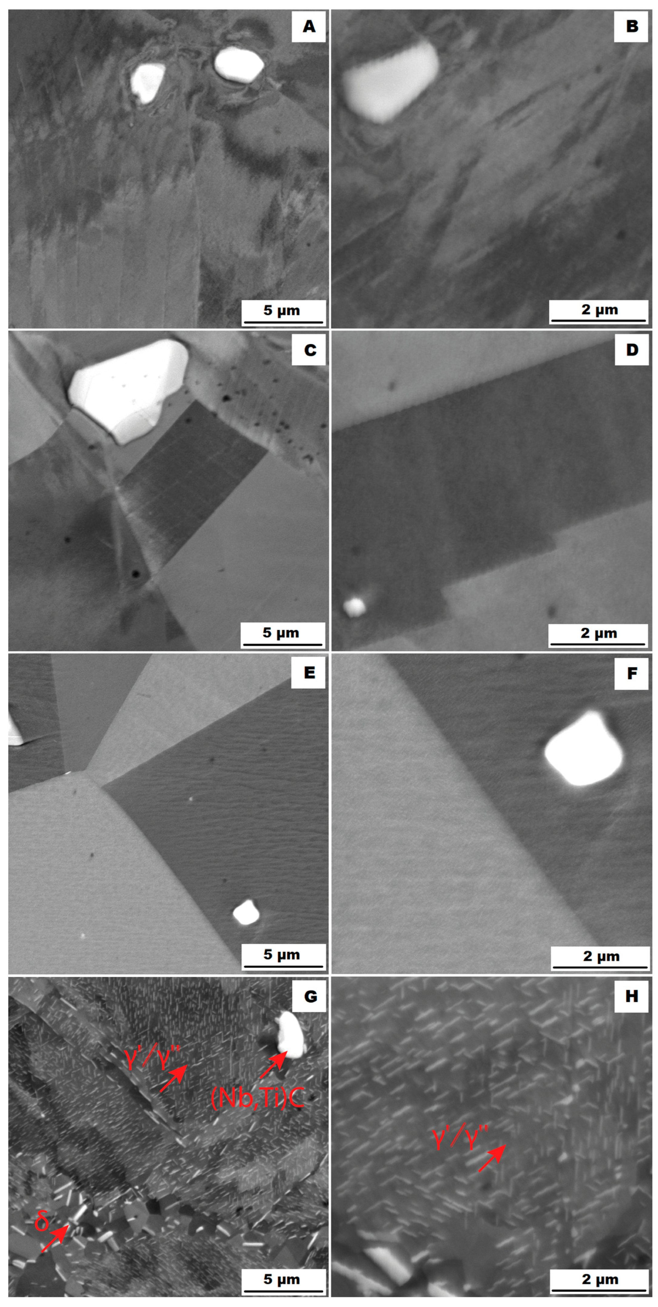 Materials 16 05382 g019 Materials 16 05382 g019