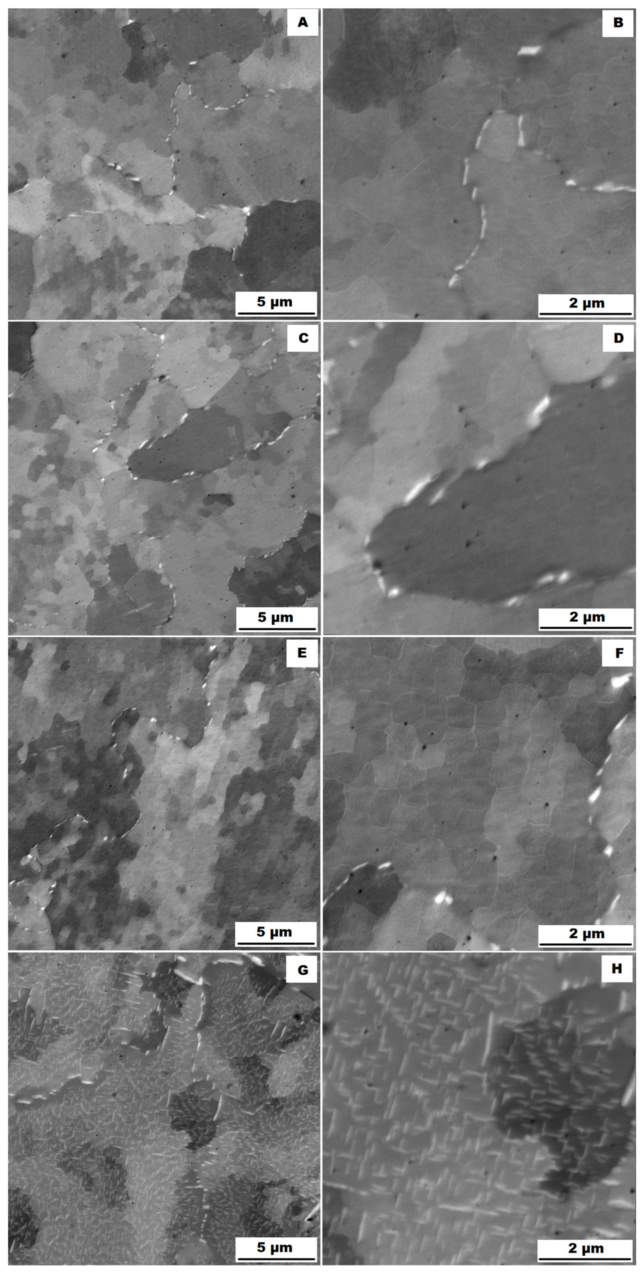 Materials 16 05382 g021 Materials 16 05382 g021