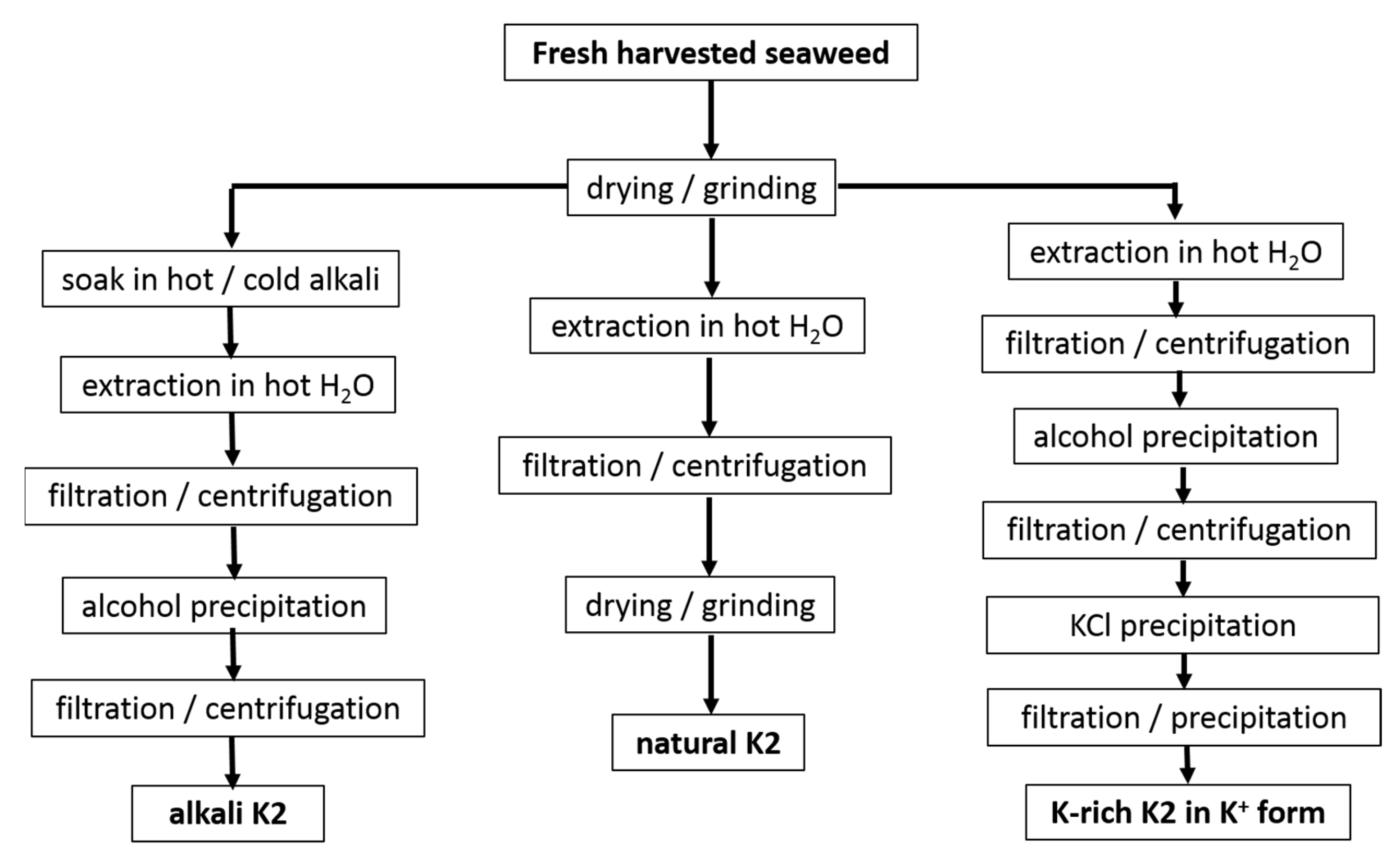Materials 16 05387 g002 Materials 16 05387 g002
