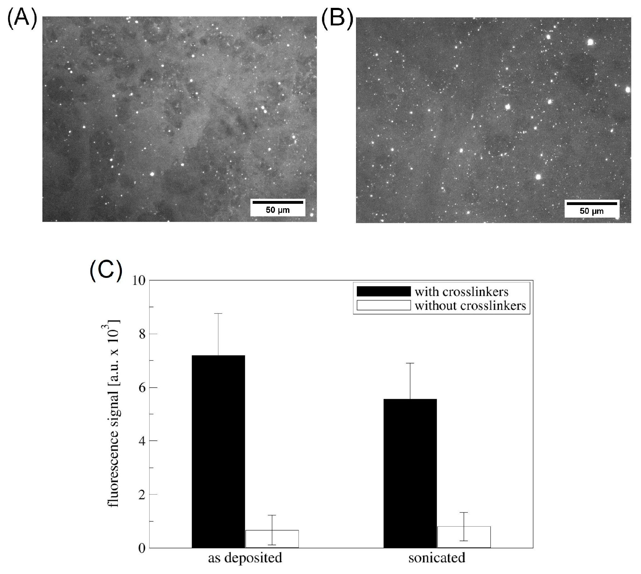 Materials 16 05390 g006