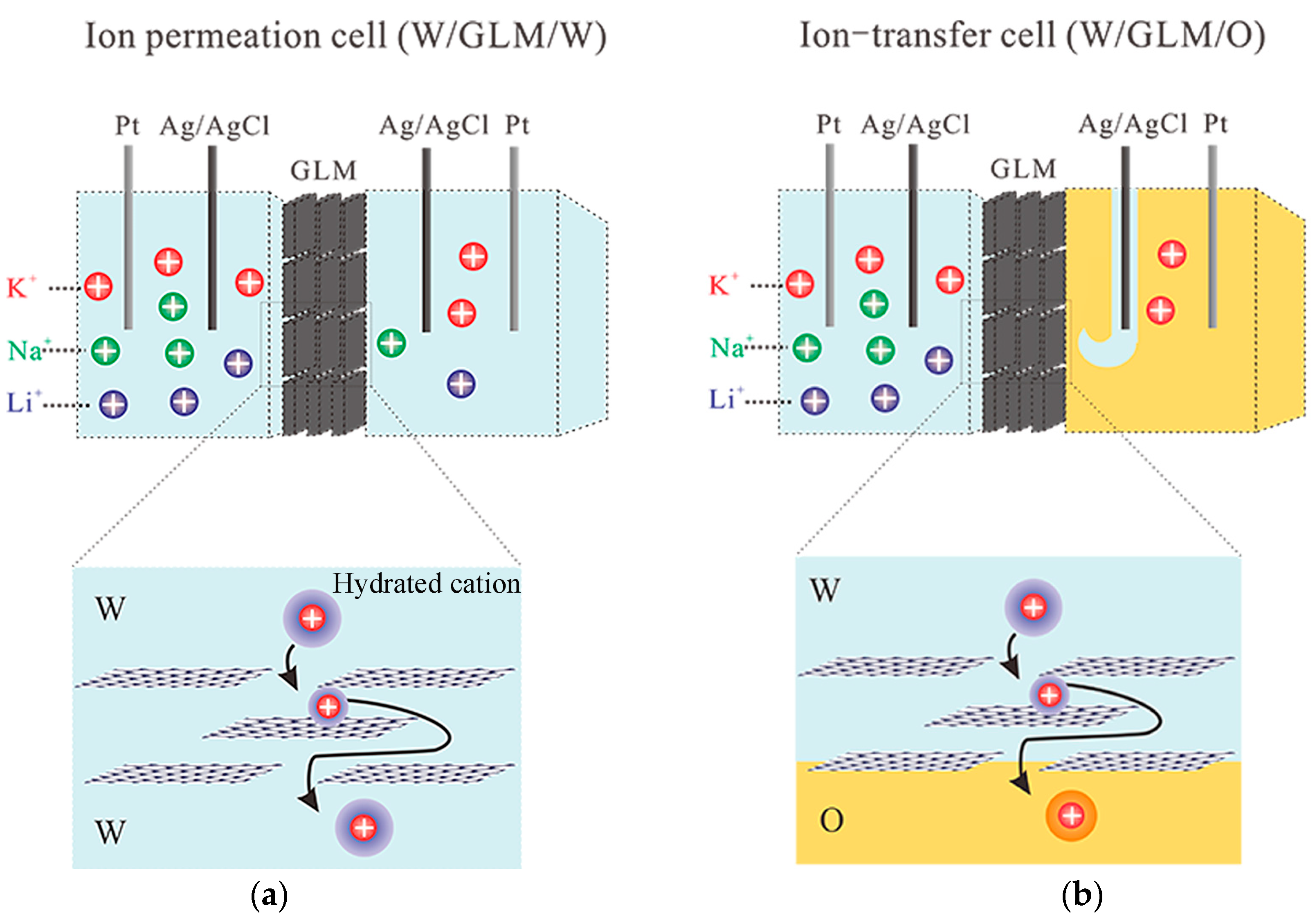 Materials 16 05393 g001 Materials 16 05393 g001