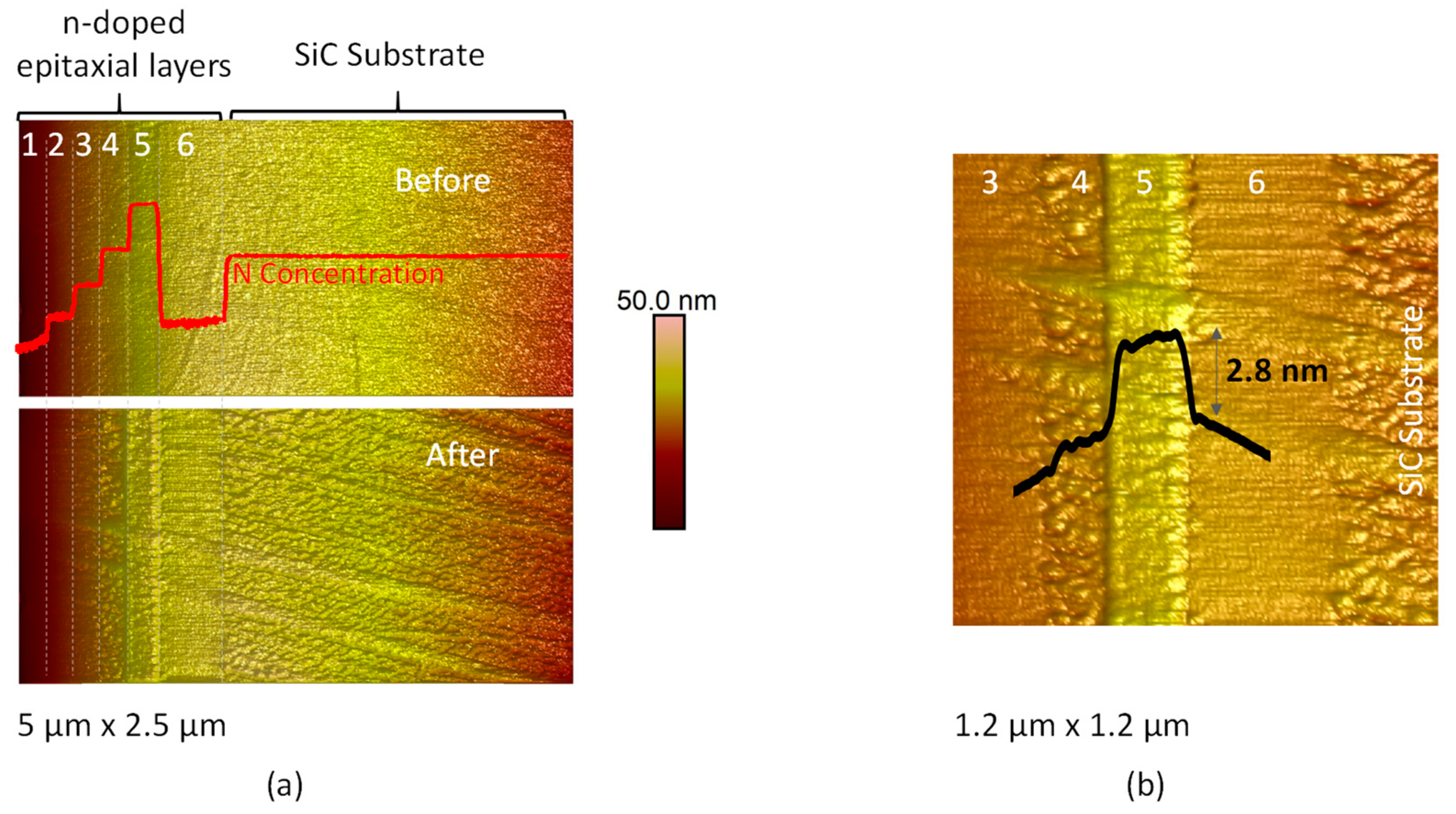 Materials 16 05401 g005 Materials 16 05401 g005
