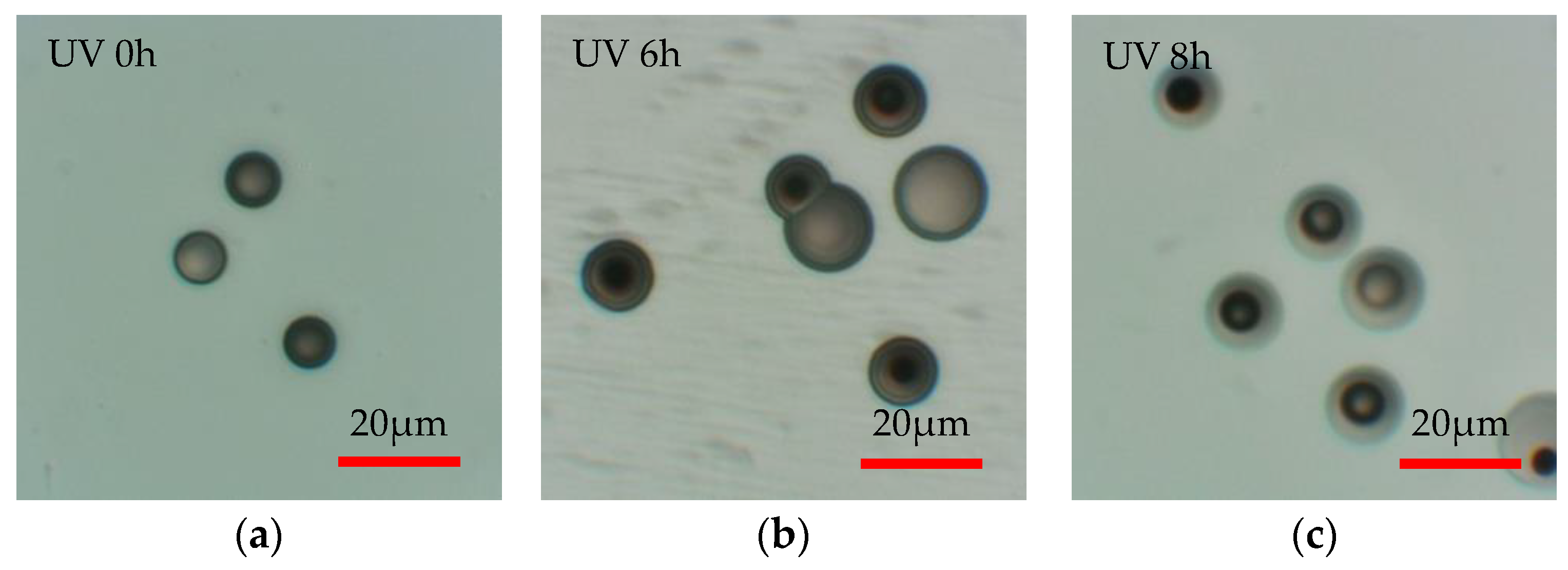 Materials 16 05413 g010 550