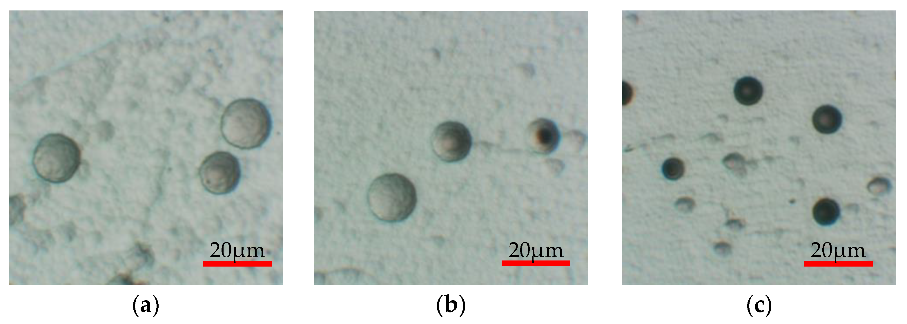 Materials 16 05413 g012 550