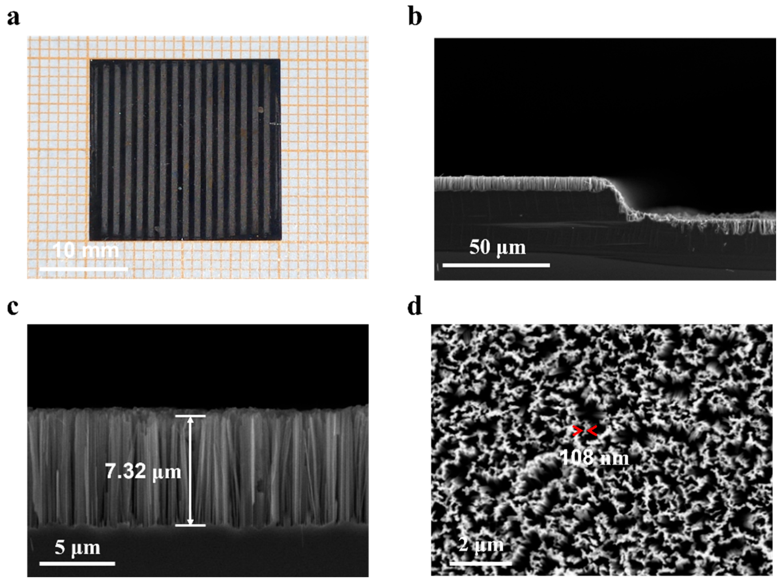 Materials 16 05423 g003