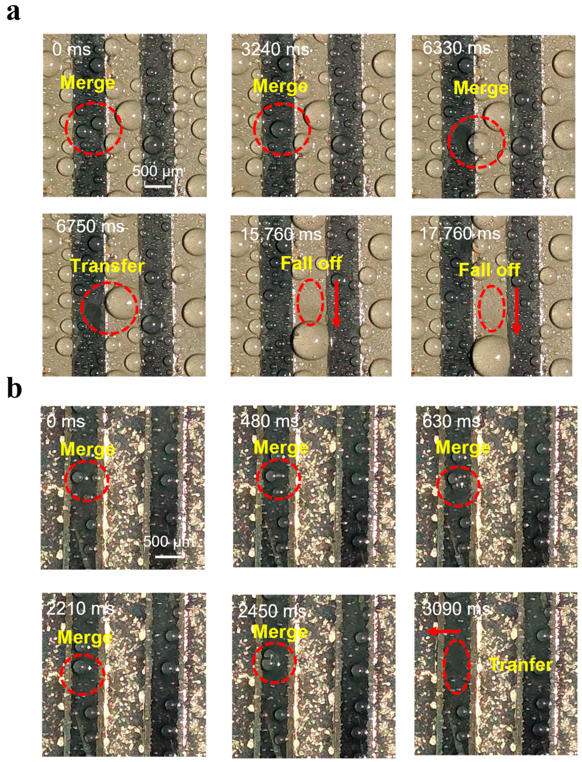Materials 16 05423 g008