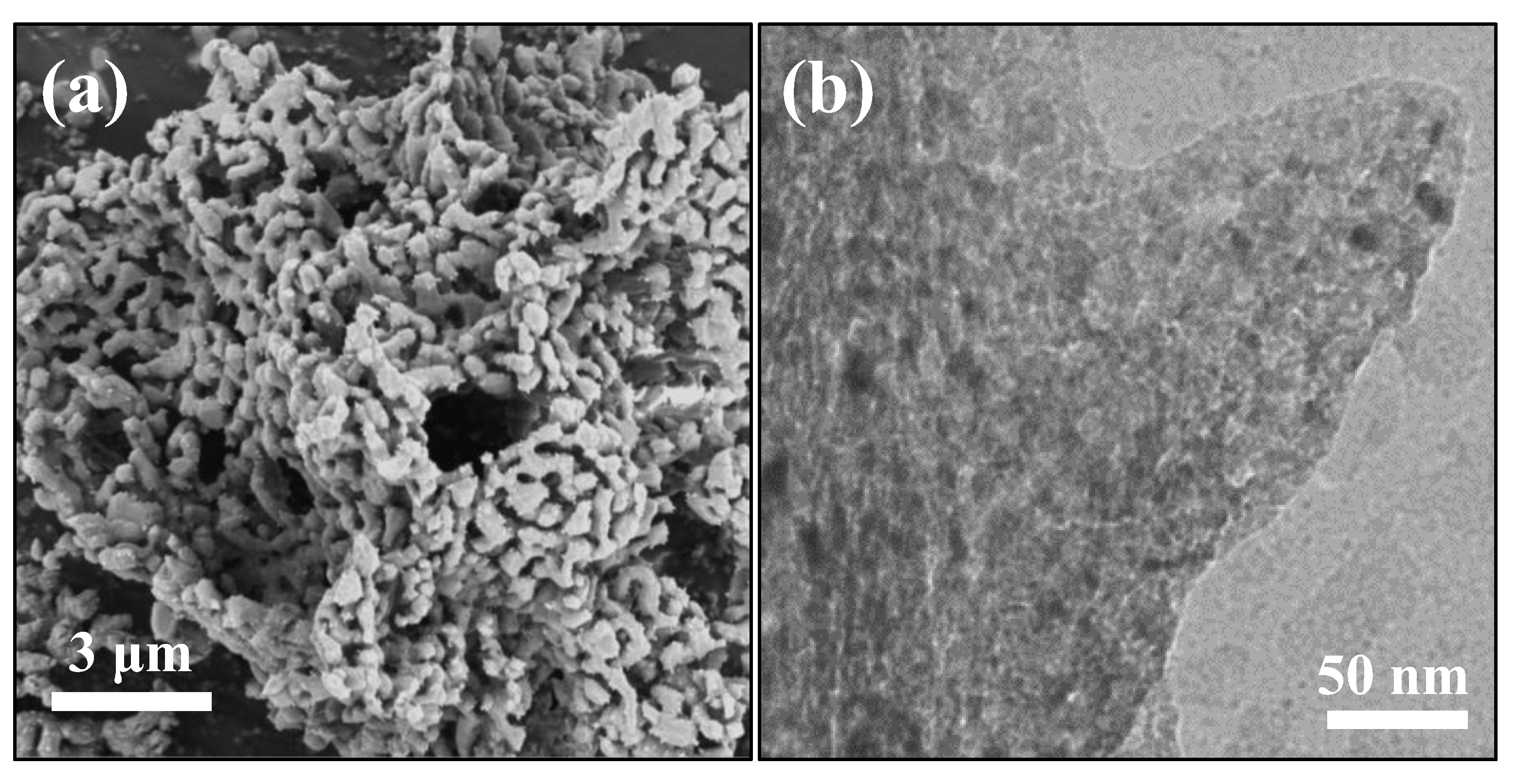 Materials 16 05430 g009 Materials 16 05430 g009