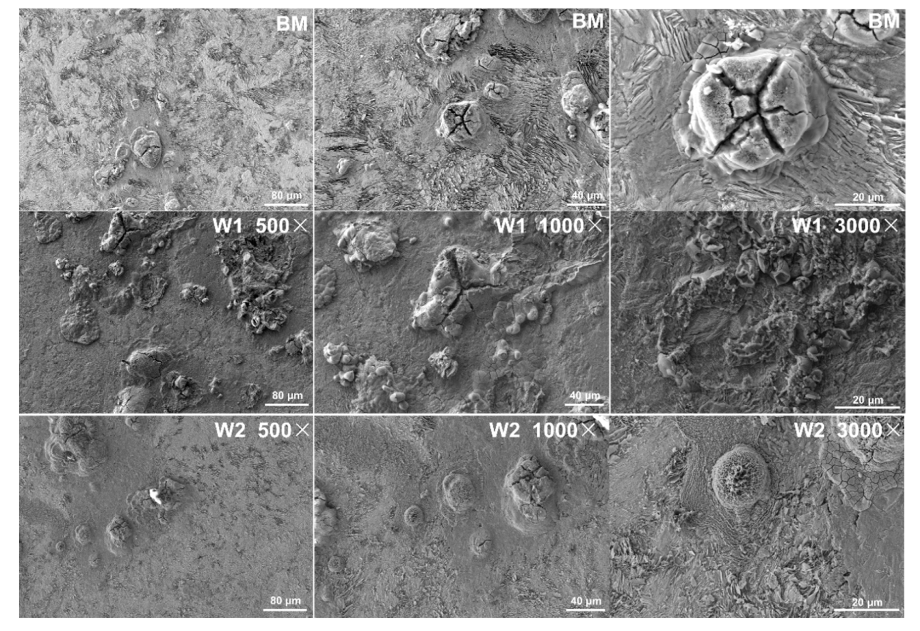 Materials 16 05437 g007 Materials 16 05437 g007