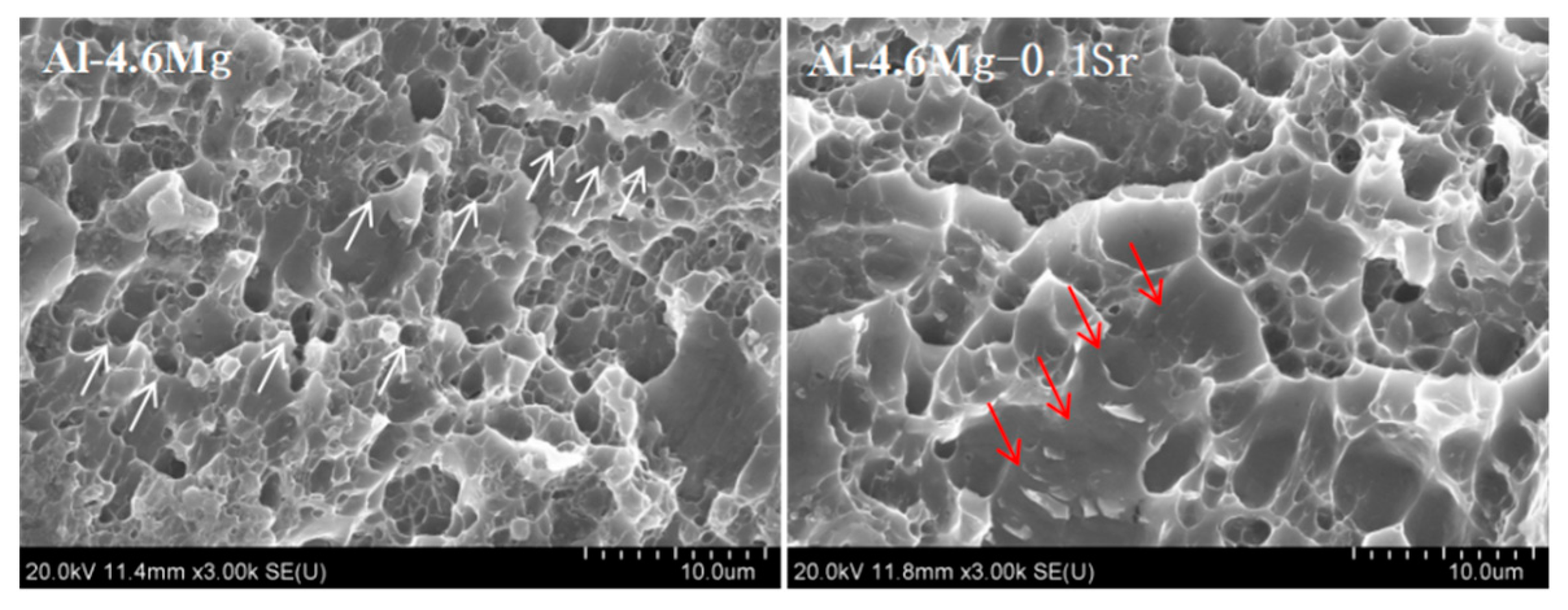 Materials 16 05450 g009