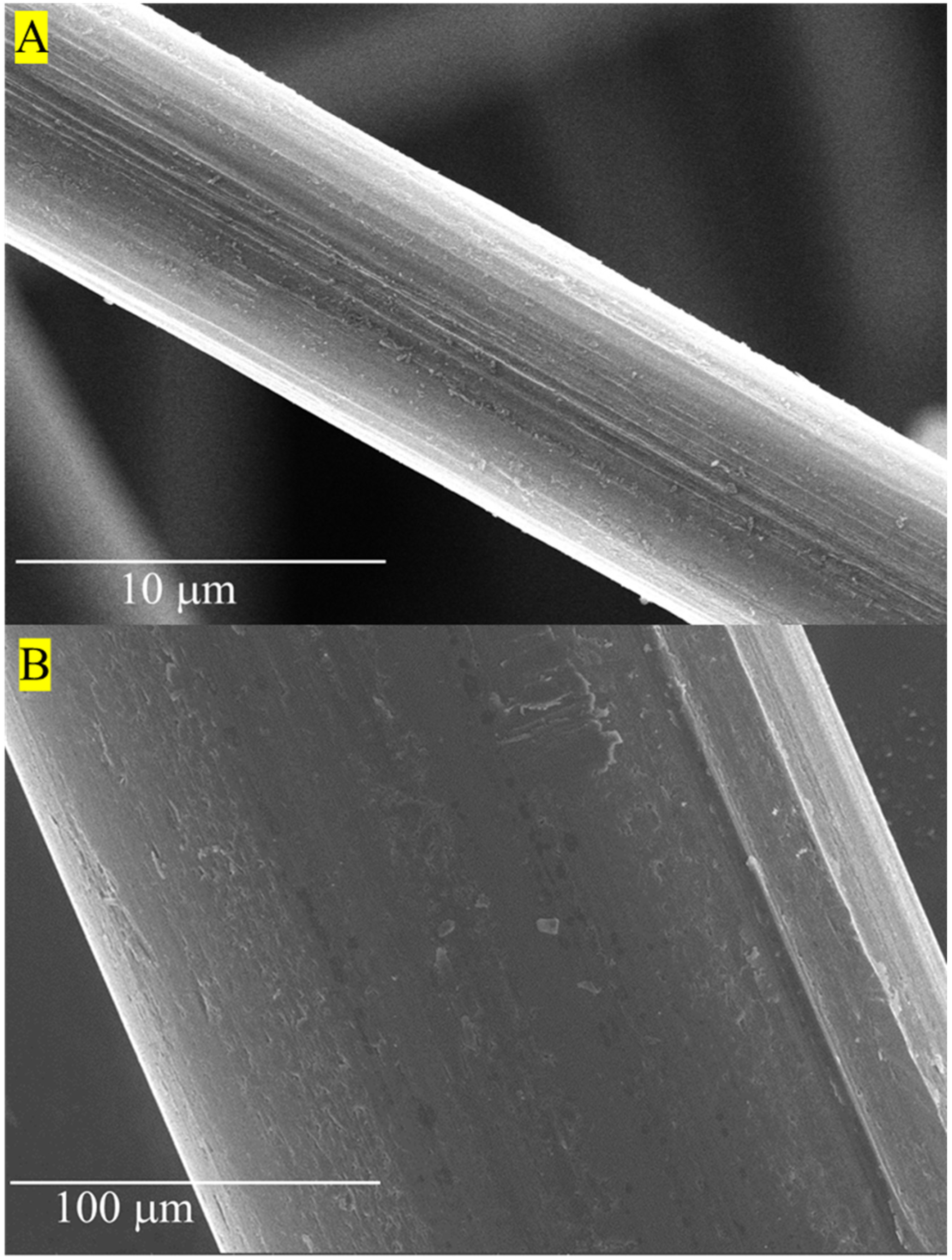 Materials 16 05451 g007 Materials 16 05451 g007