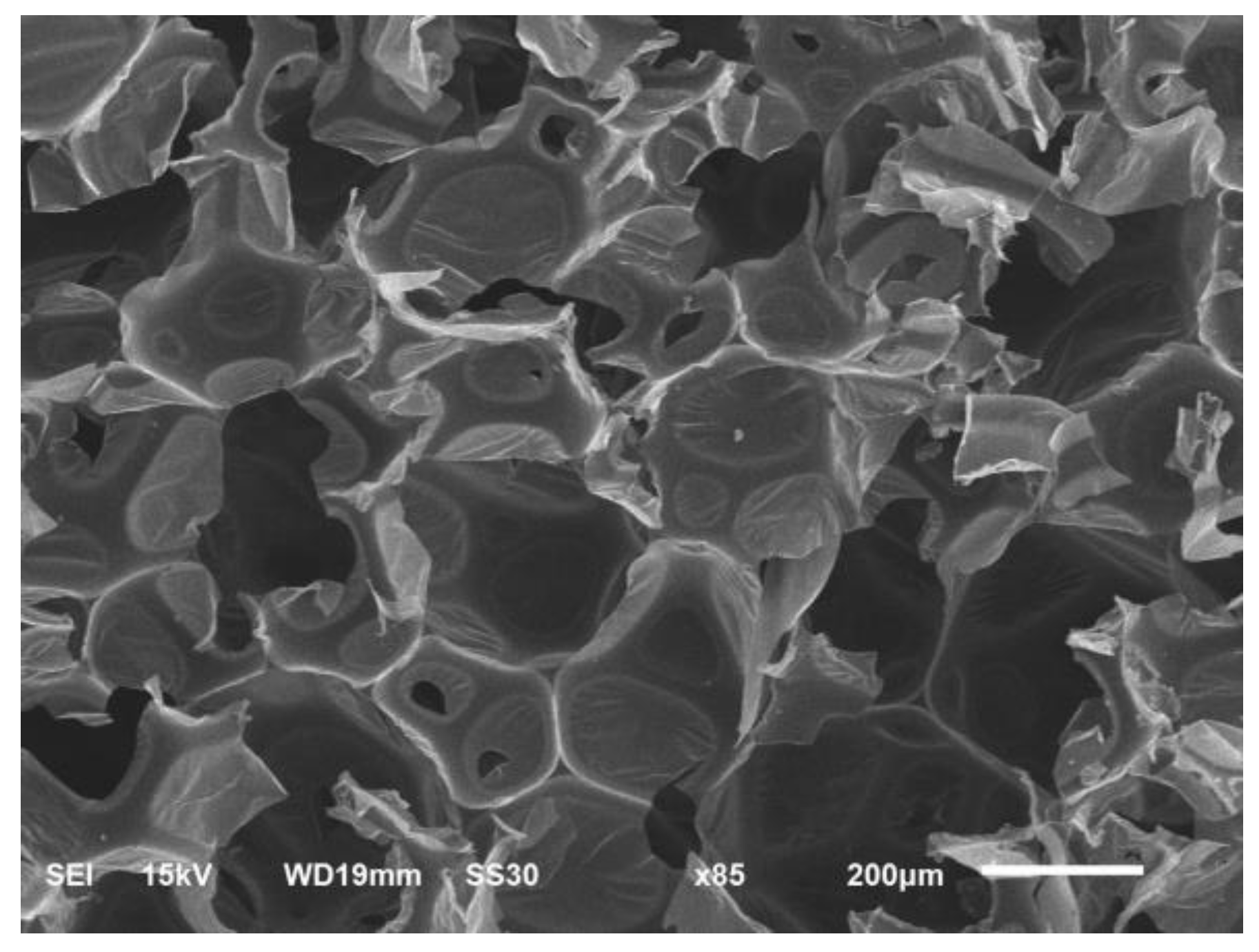 Materials 16 05453 g009 Materials 16 05453 g009