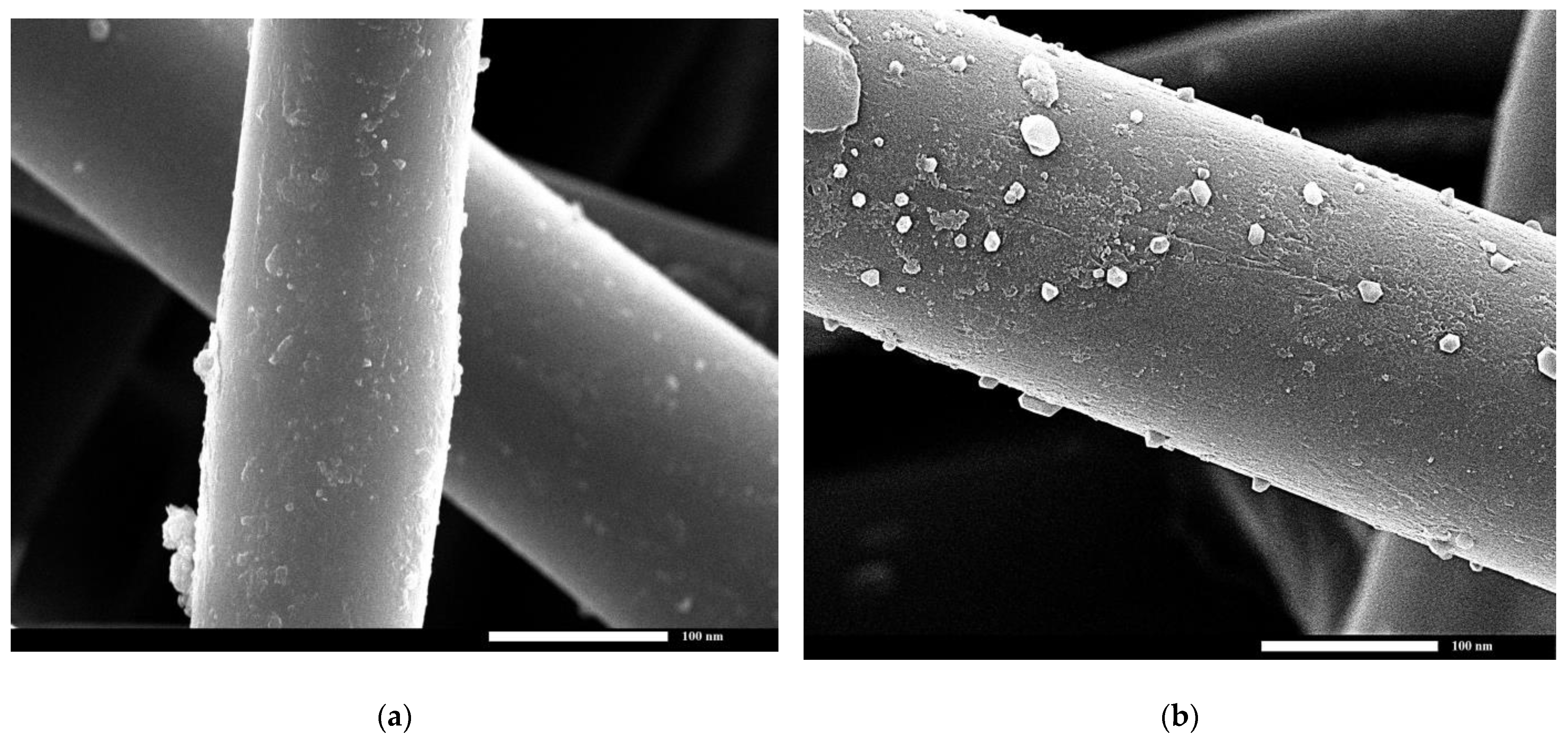 Materials 16 05456 g005