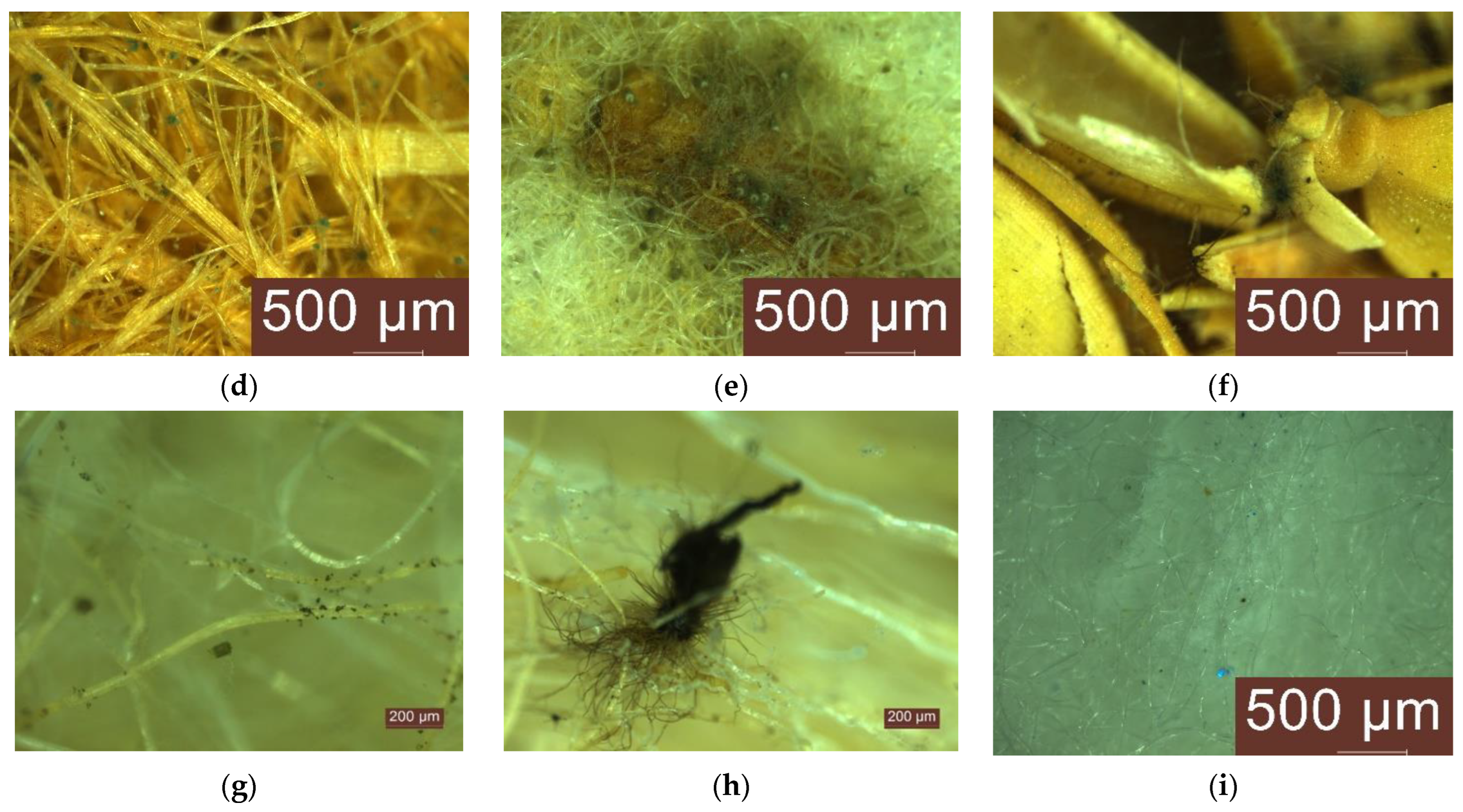 Materials 16 05458 g006b