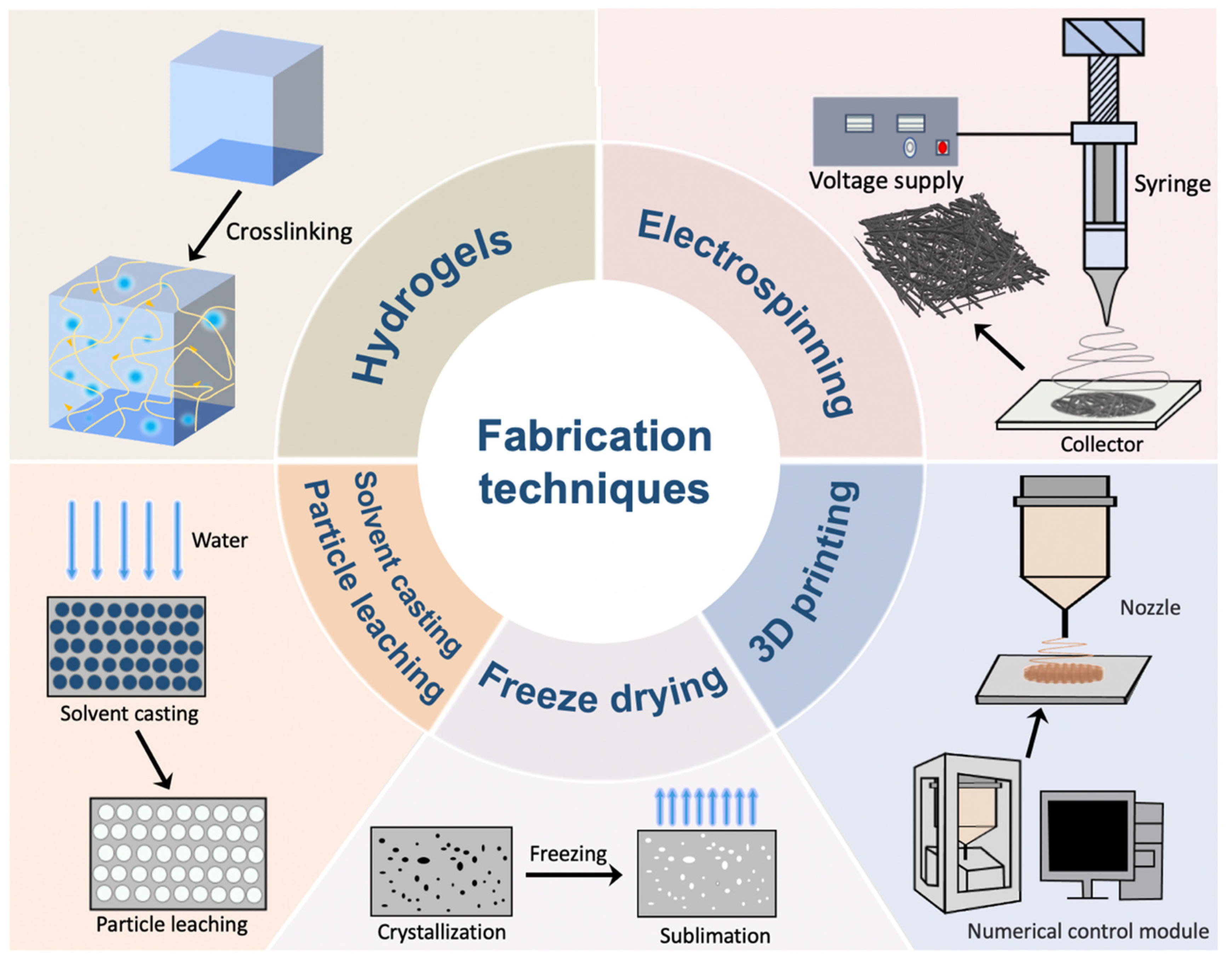 Materials 16 05459 g001 Materials 16 05459 g001