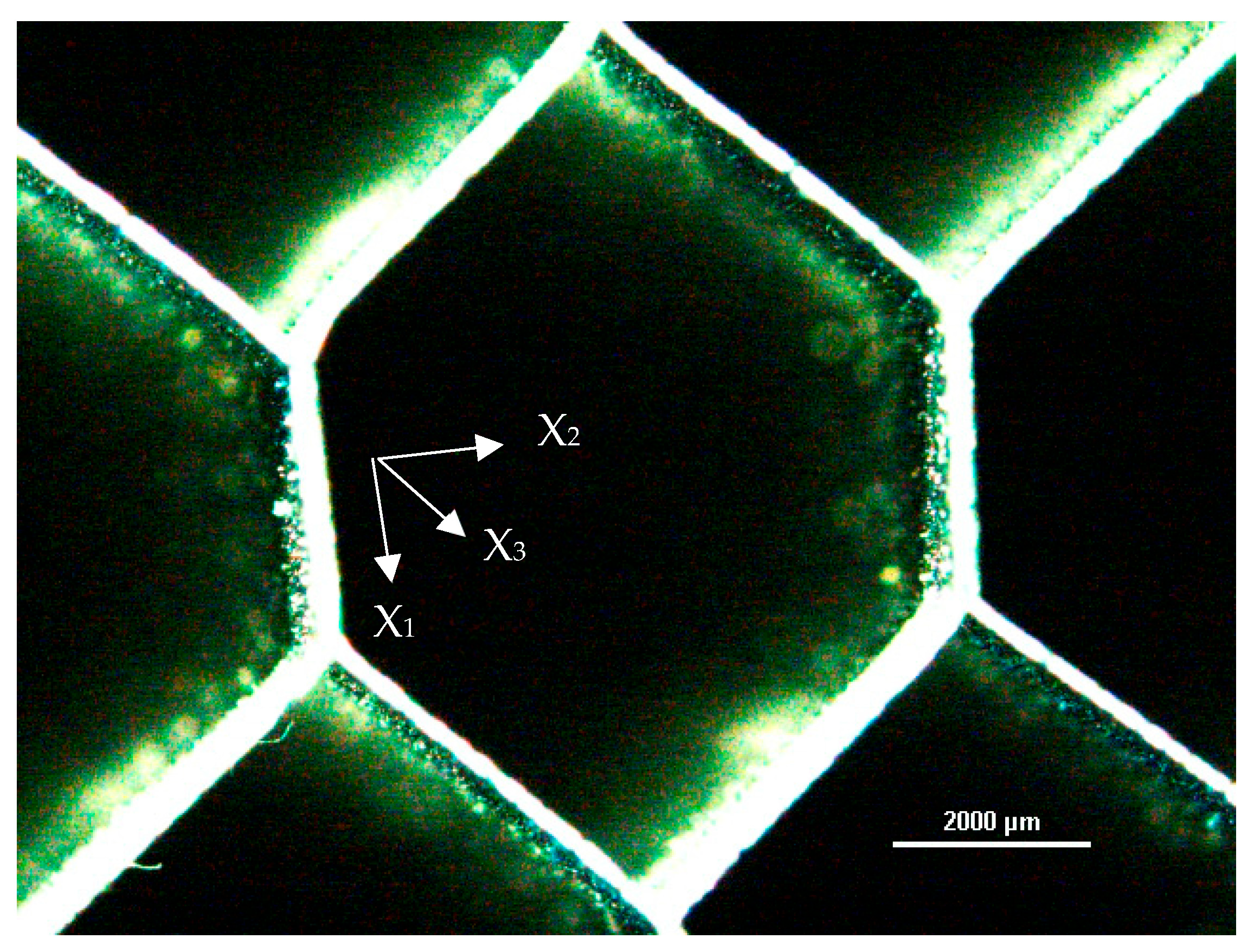 Materials 16 05462 g002