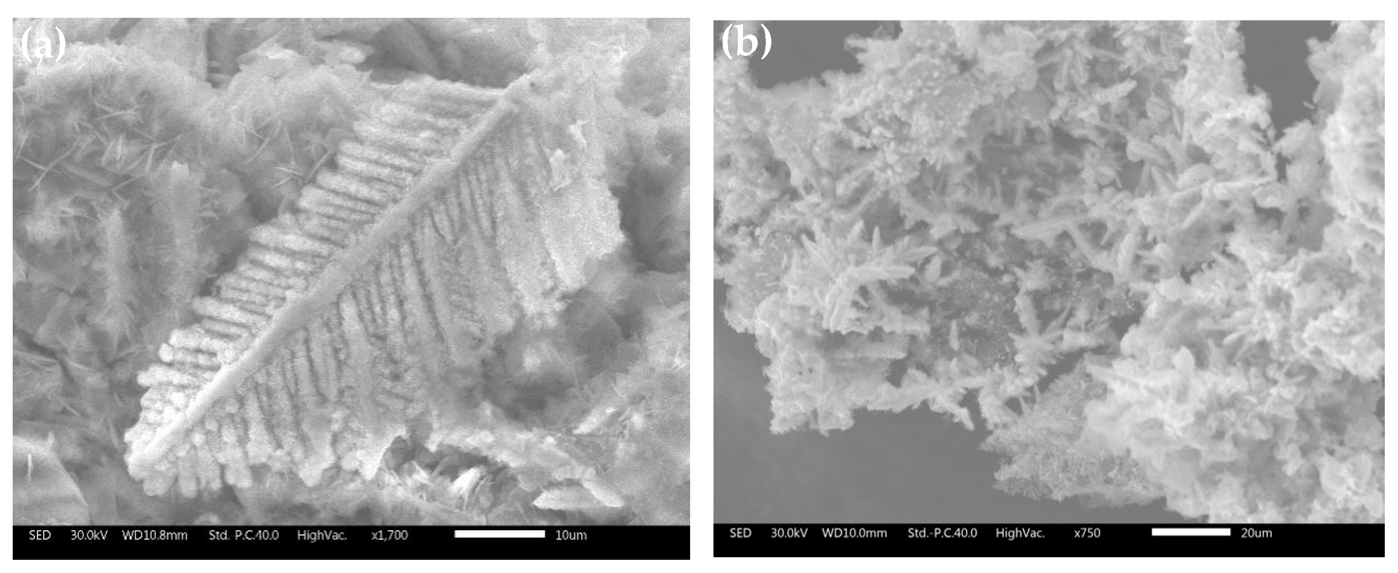 Materials 16 05463 g004a