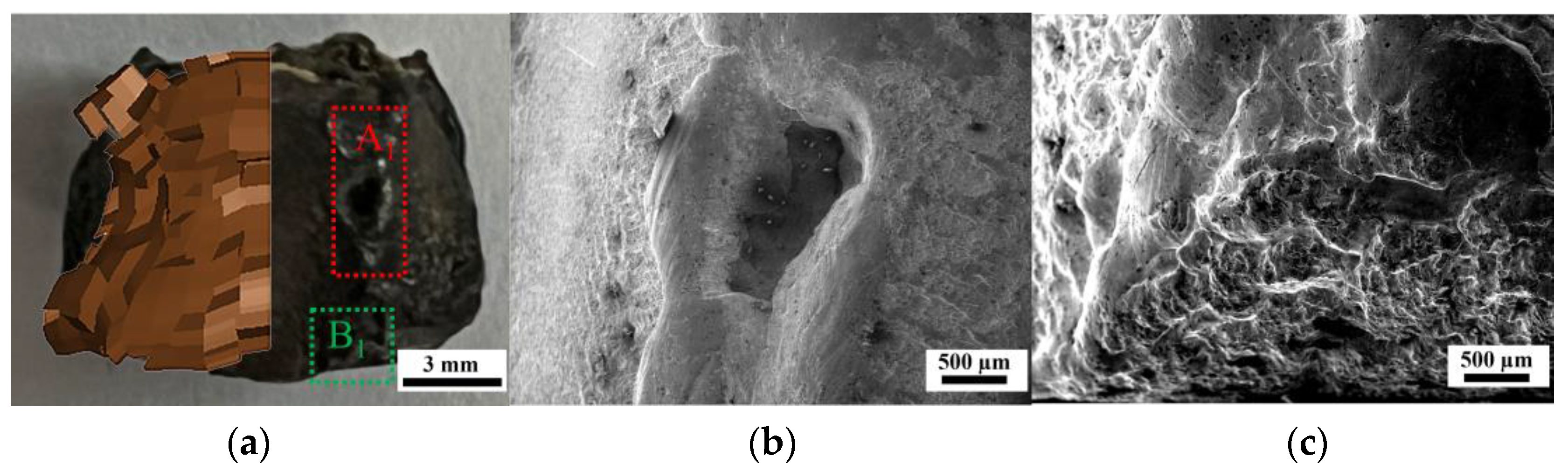 Materials 16 05464 g007 550