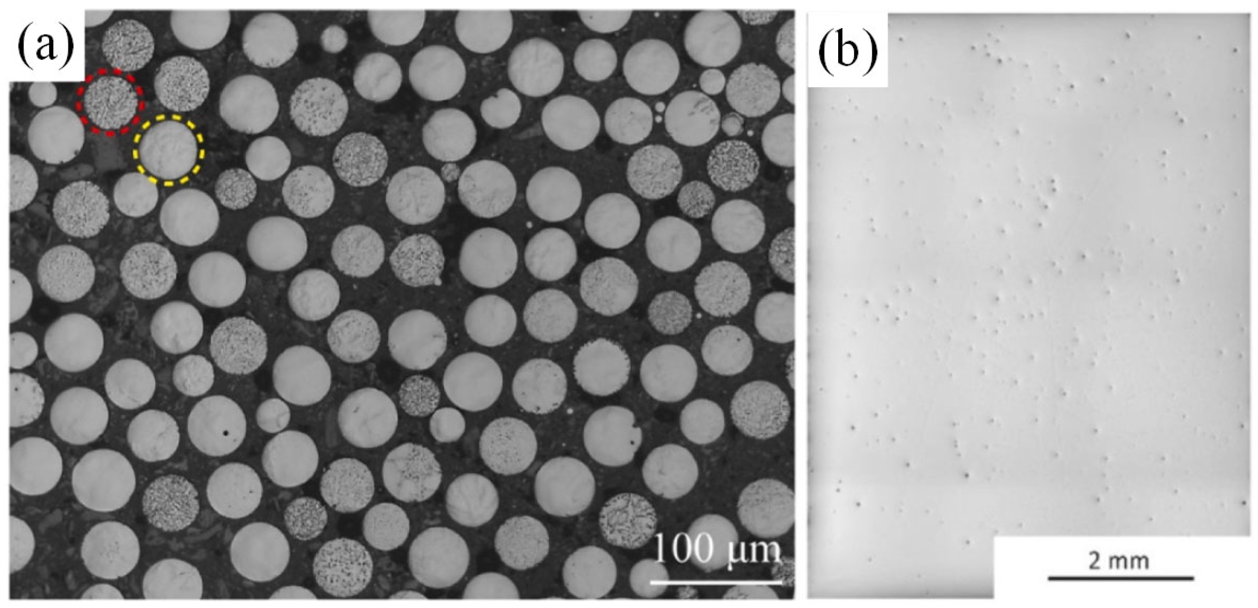 Materials 16 05495 g010 Materials 16 05495 g010