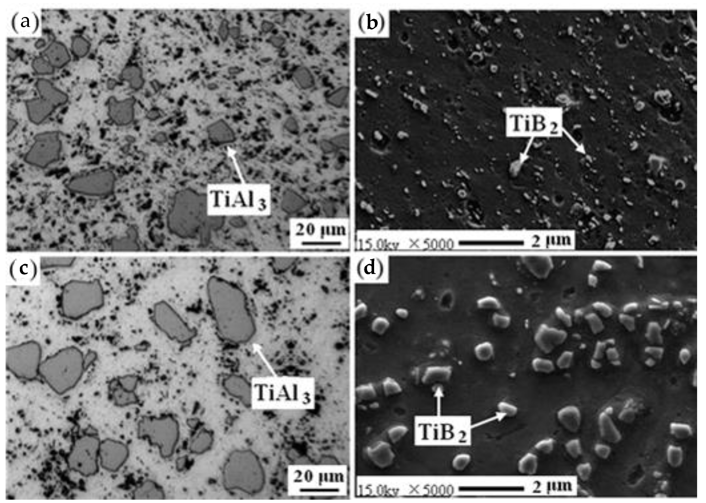 Materials 16 05500 g002 Materials 16 05500 g002