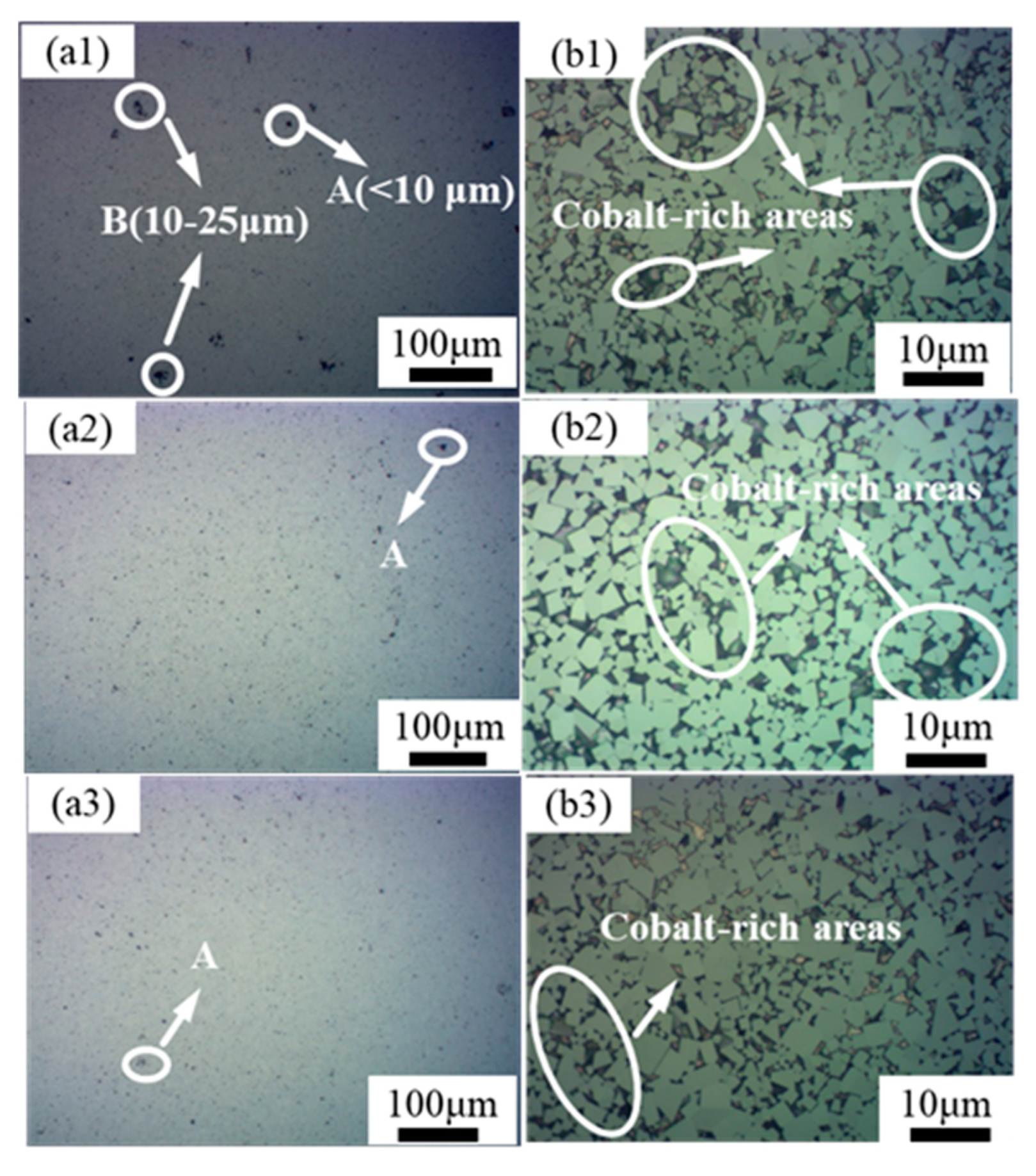 Materials 16 05506 g006