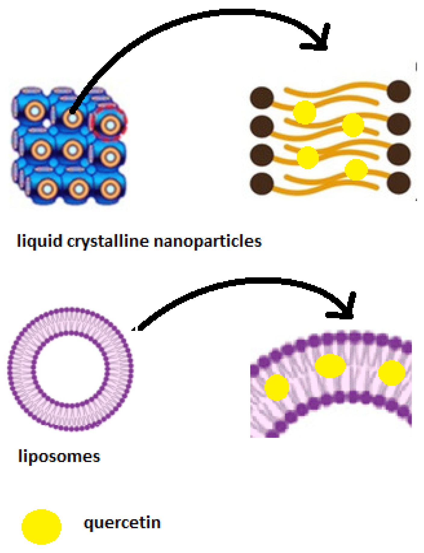 Materials 16 05509 g005