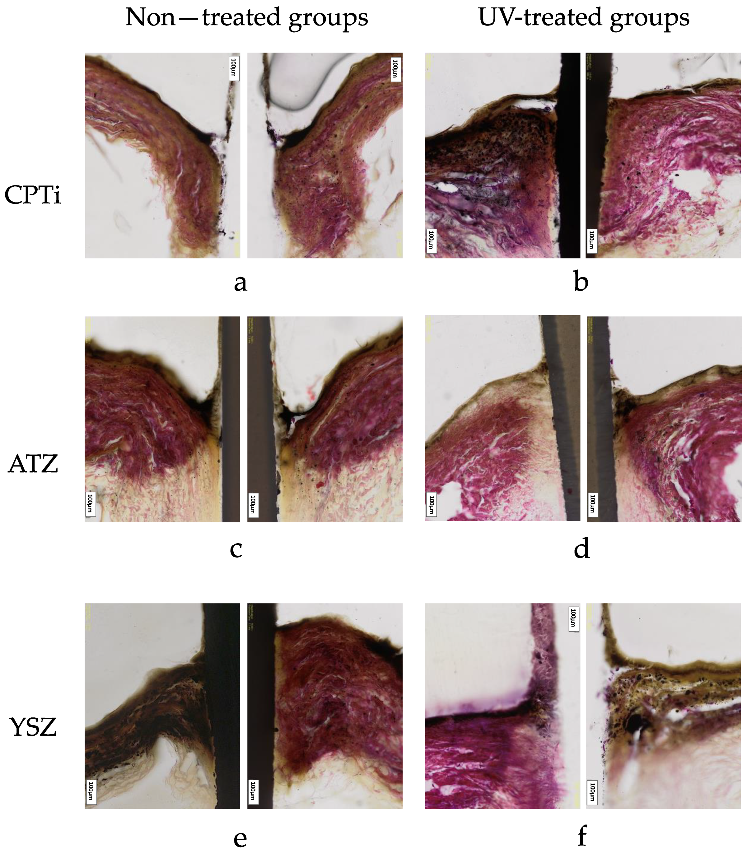 Materials 16 05529 g007 Materials 16 05529 g007