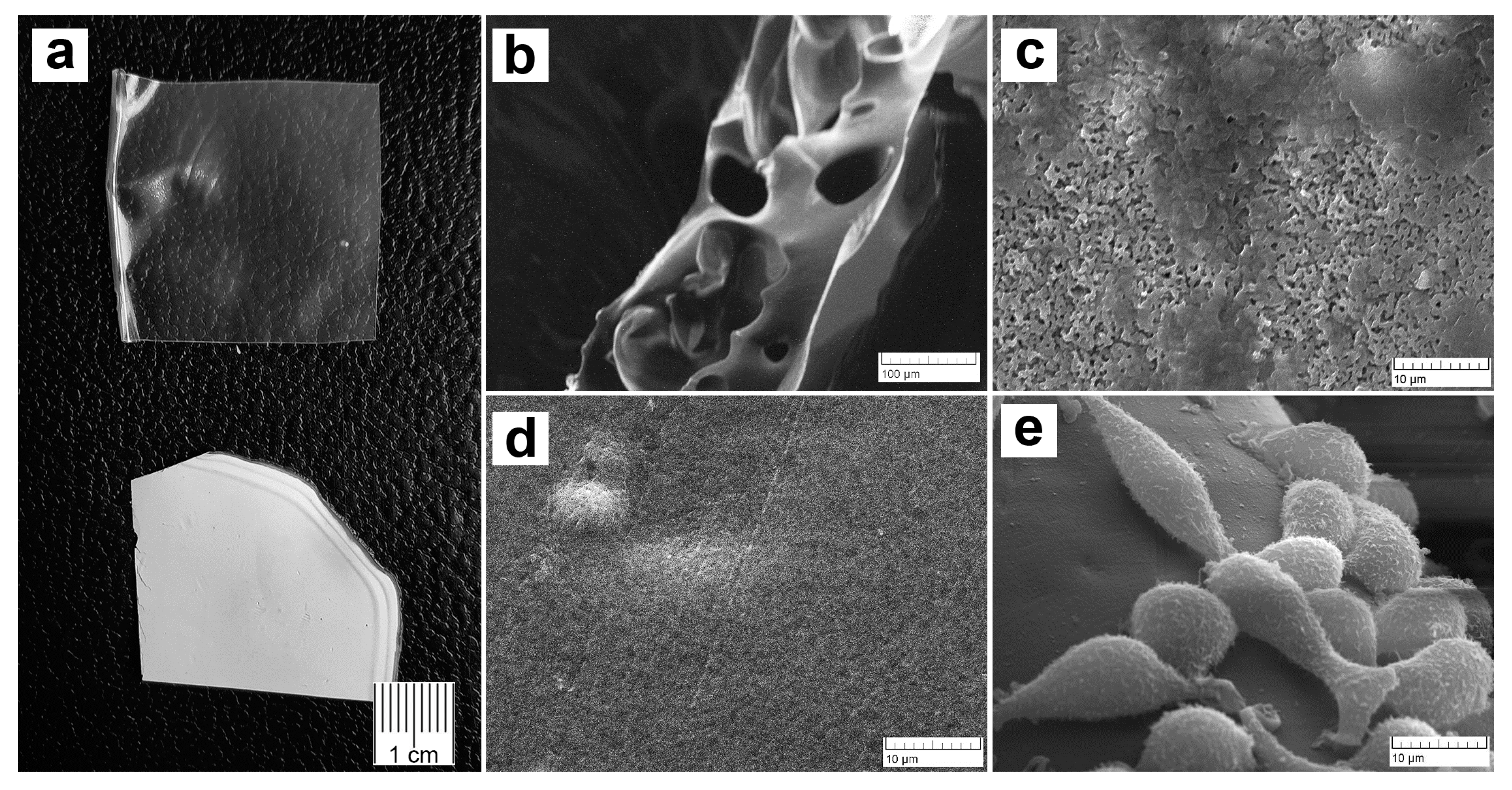 Materials 16 05532 g002