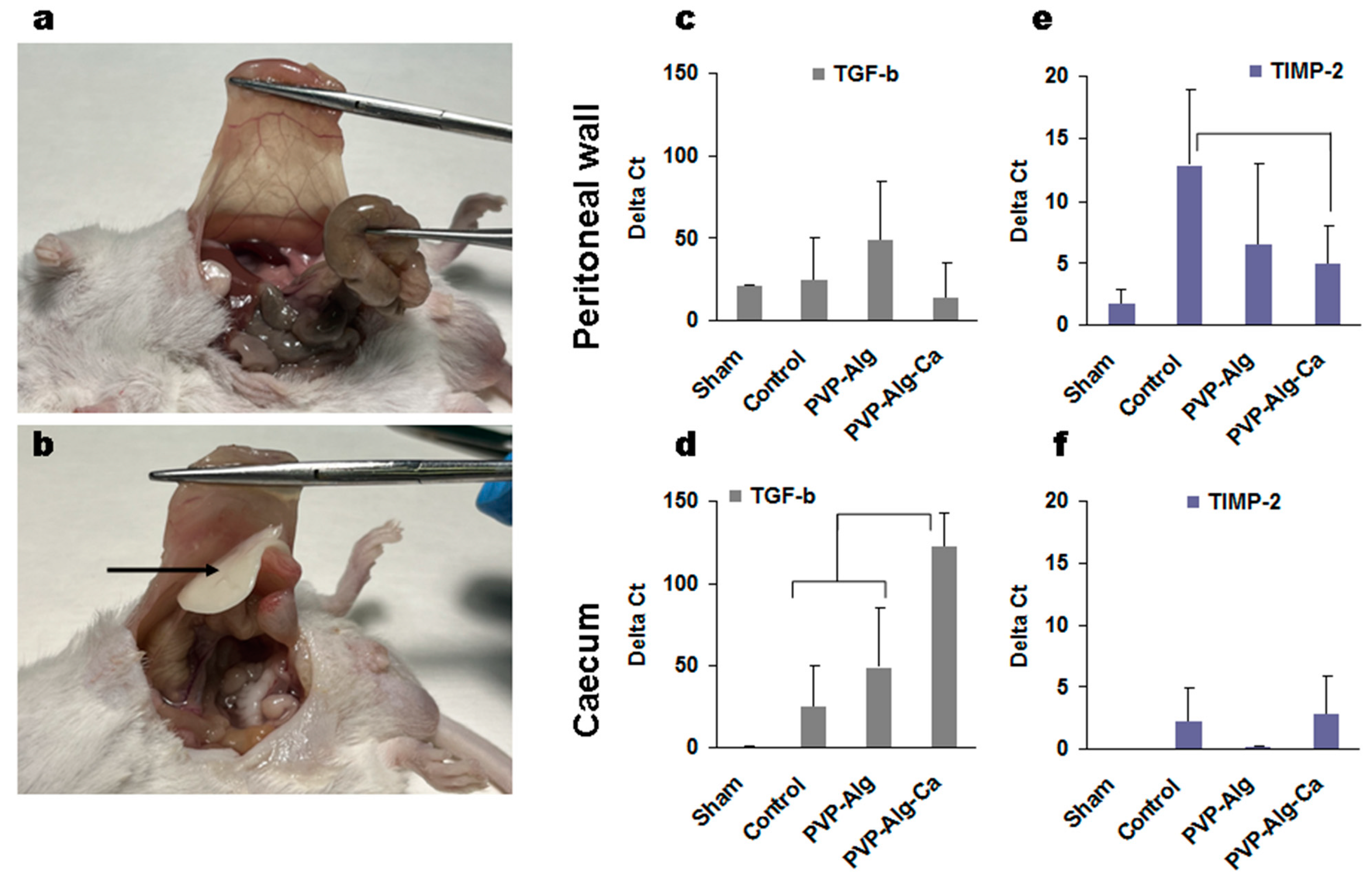 Materials 16 05532 g004