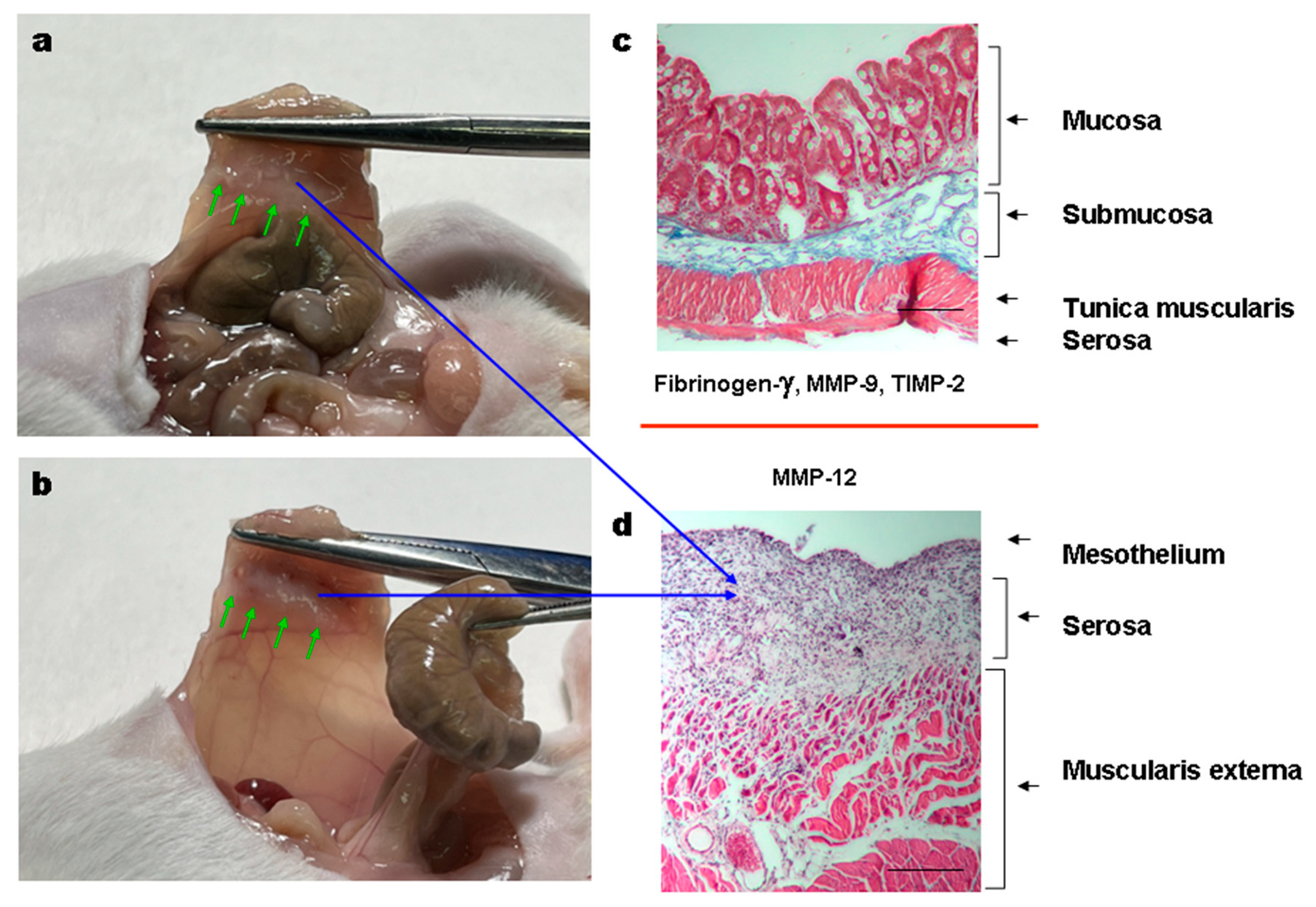 Materials 16 05532 g009