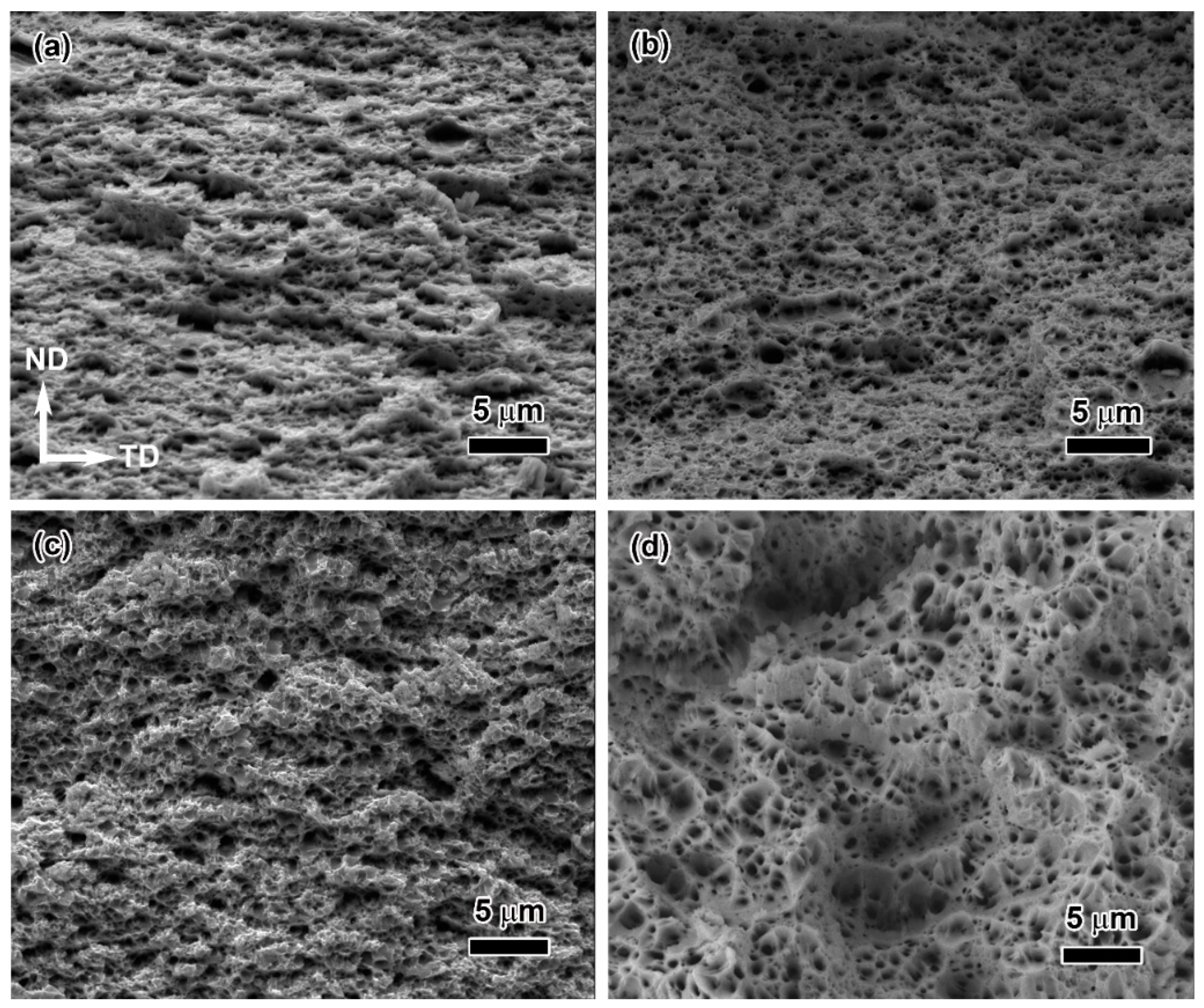 Materials 16 05534 g010 Materials 16 05534 g010