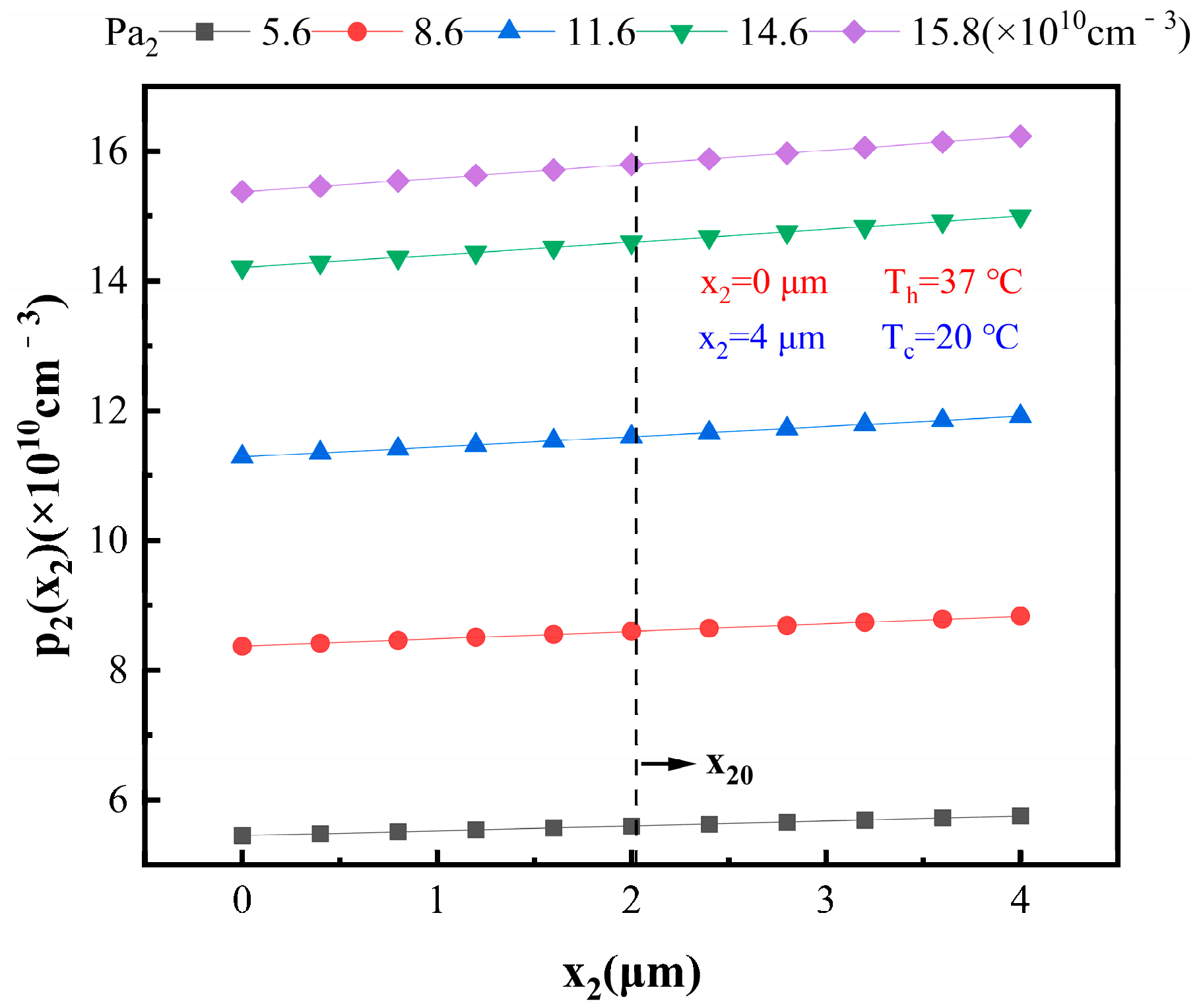 Materials 16 05536 g007 Materials 16 05536 g007