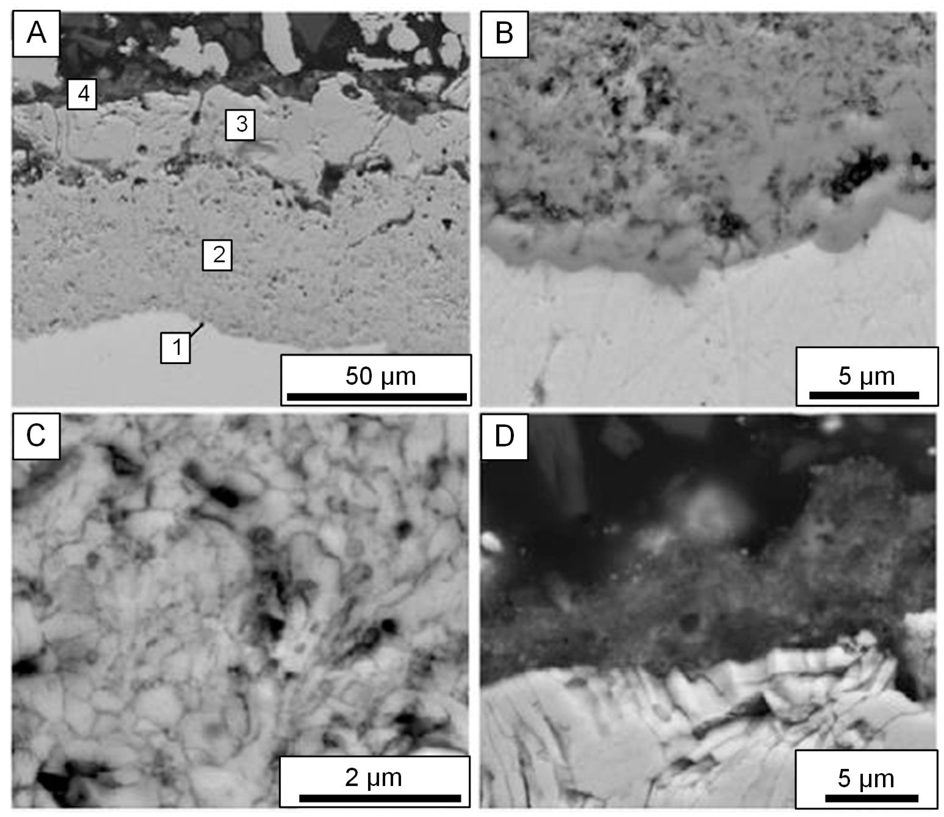 Materials 16 05543 g017 Materials 16 05543 g017