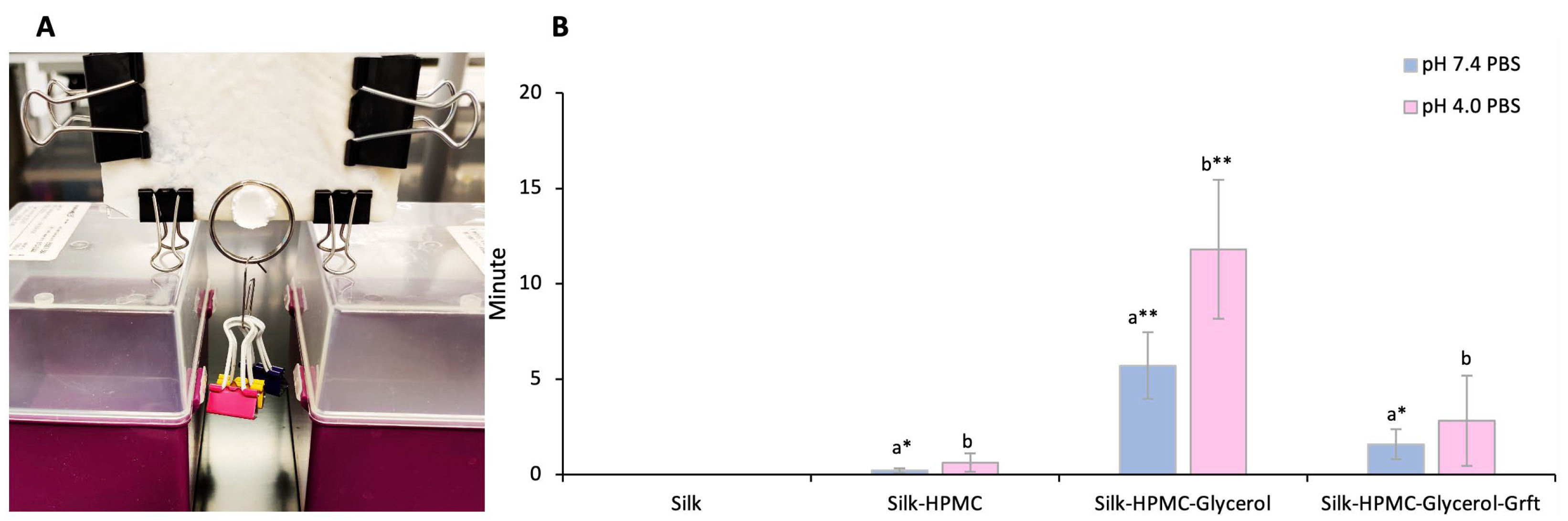 Materials 16 05547 g004