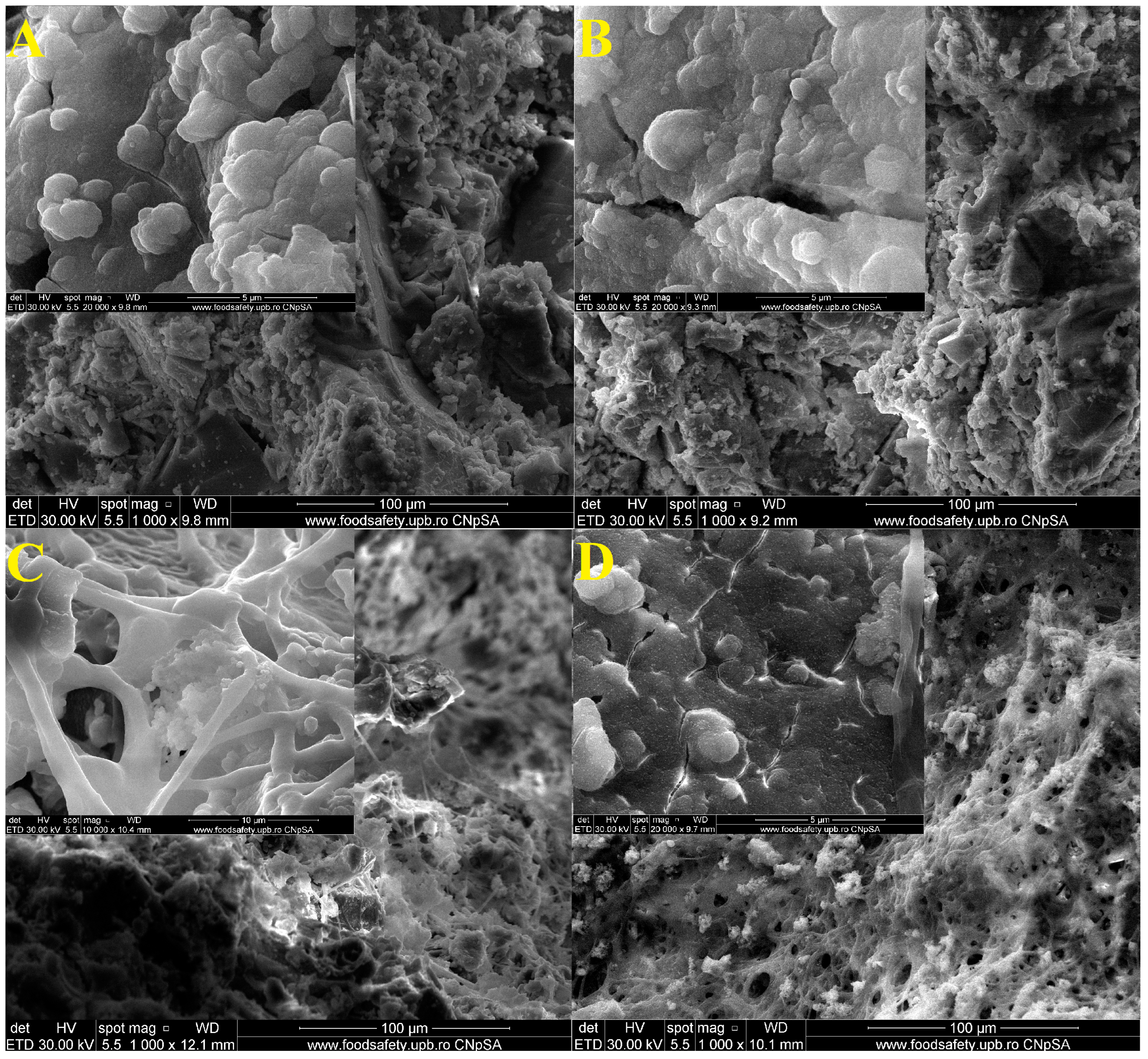 Materials 16 05548 g010