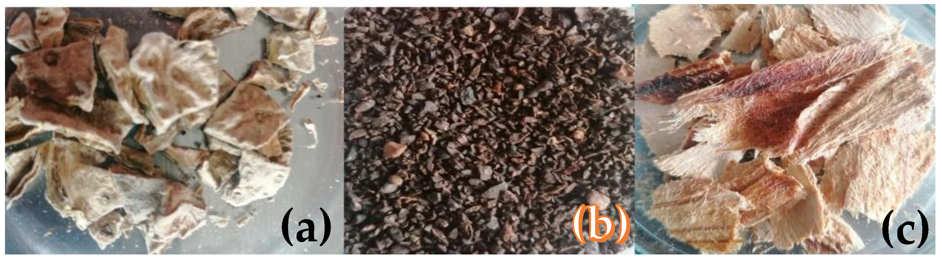 Materials 16 05571 g001 Materials 16 05571 g001