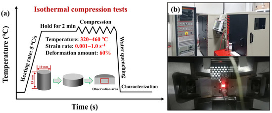 Hot Deformation Behavior and Dynamic Softening Mechanism in
